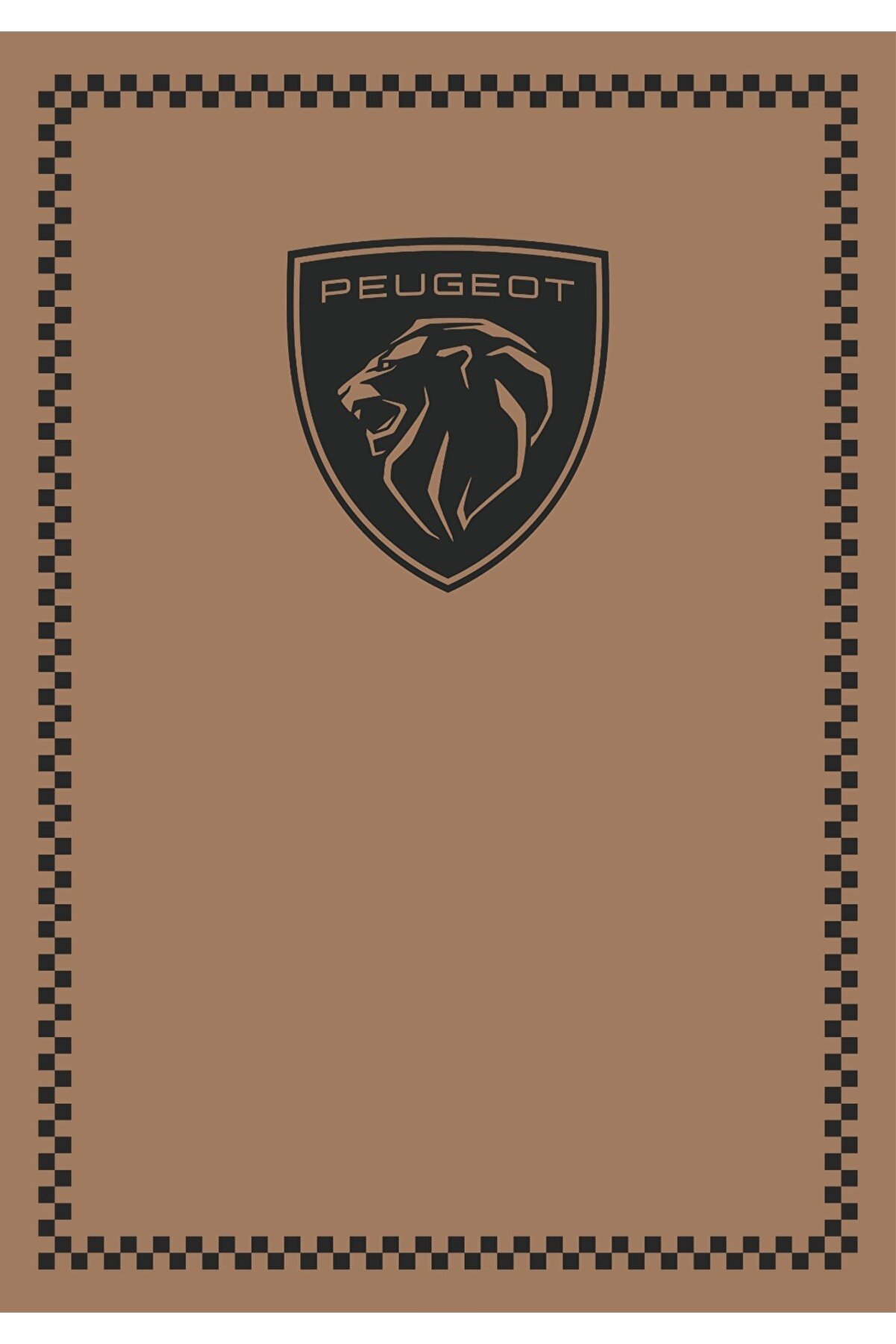 KAĞIT PASPAS OTO 100 Adet