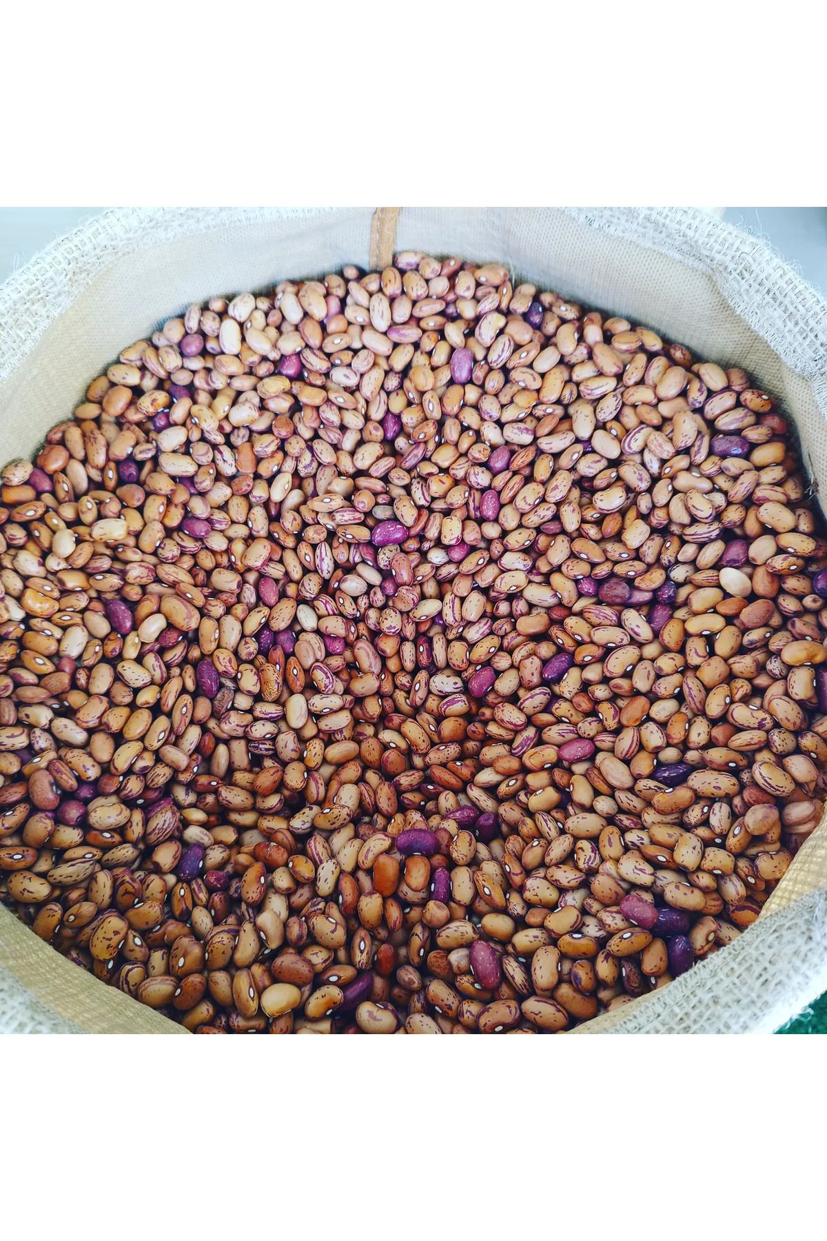 Köy Mahsulu Yerli Barbunya 2 Kg