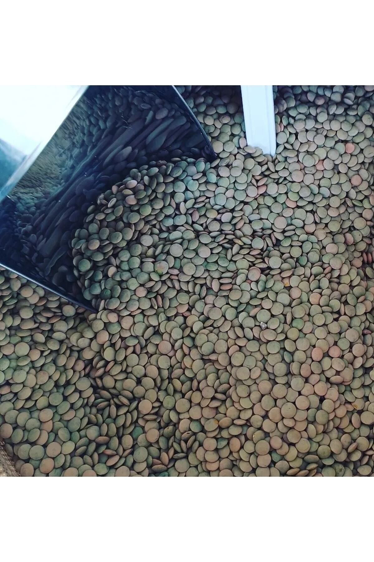Yeşil Mercimek 3kg [ ( Köy Mahsulu )]