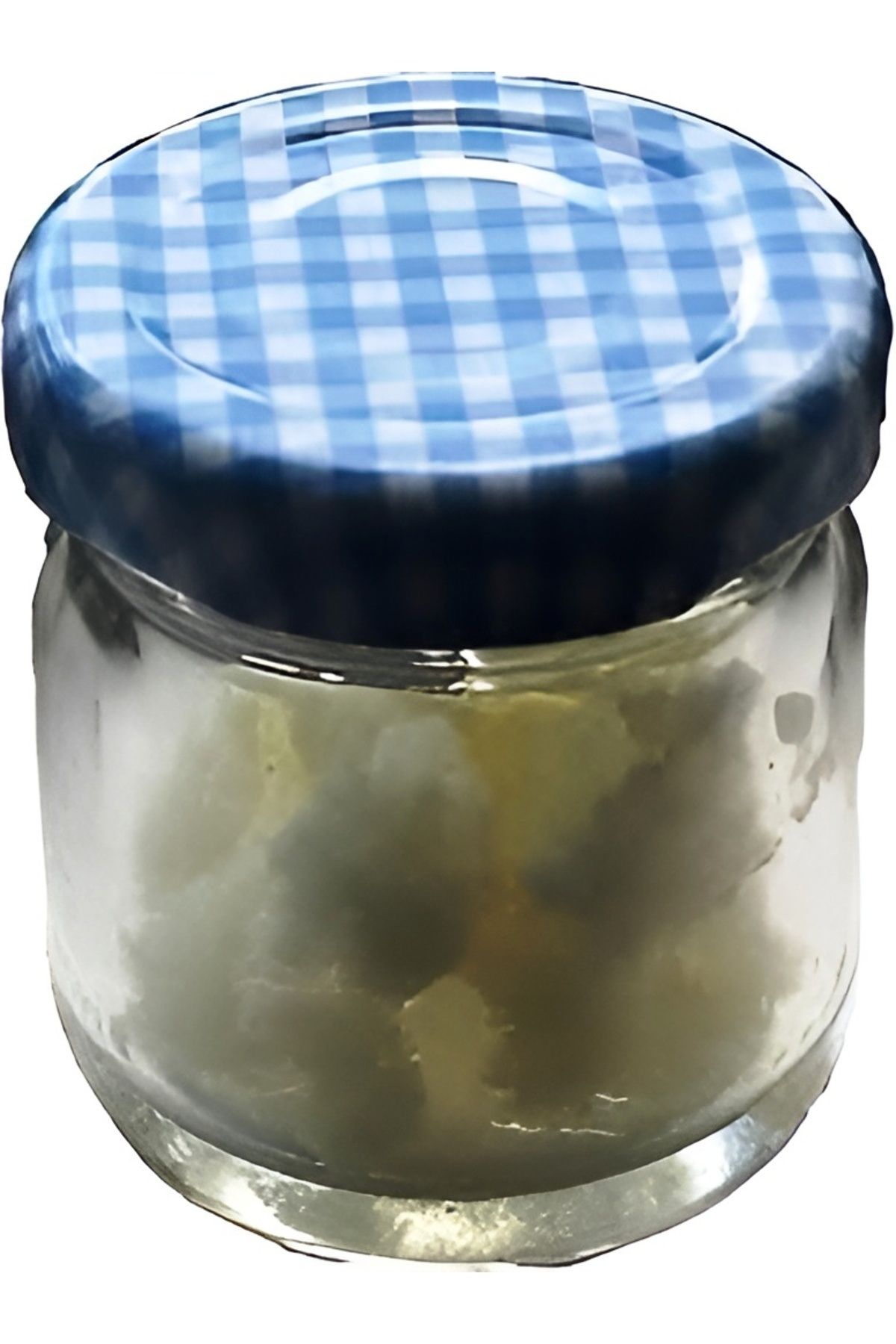 Kefir Mayası, Canlı Tane, Süt Kefir Mayası Doğal Probiyotik