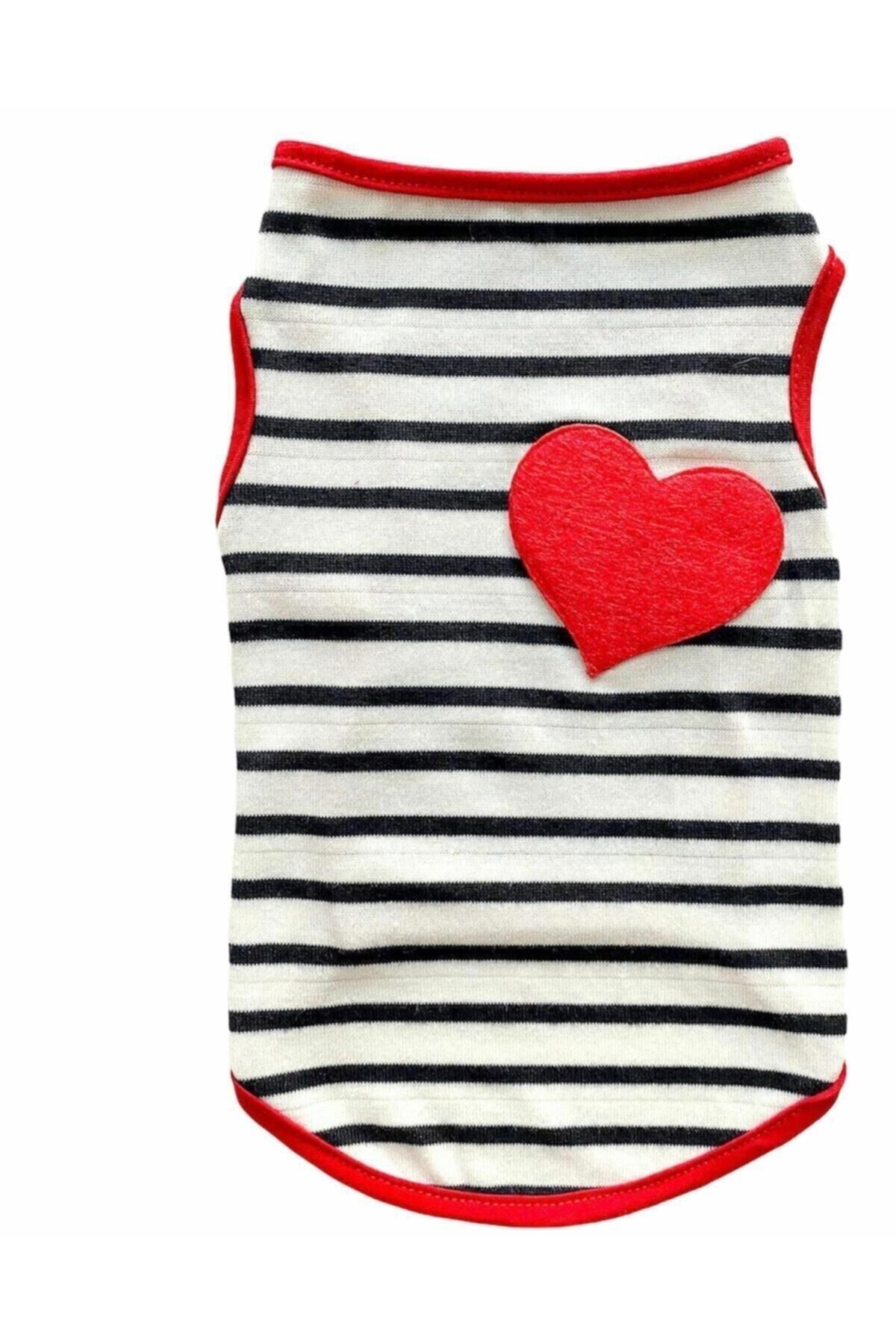 Heart Kedi & Köpek Atleti (1 Kg -10 Kg )