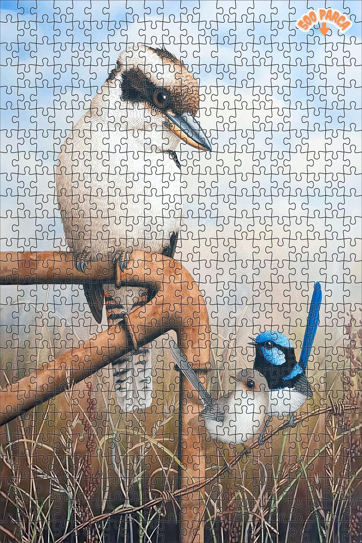 Kookaburra &amp; çalıkuşları Dekoratif Çift Katlı Çerçeveli Asılabilir Ahşap Puzzle 500 PARÇA 30X50