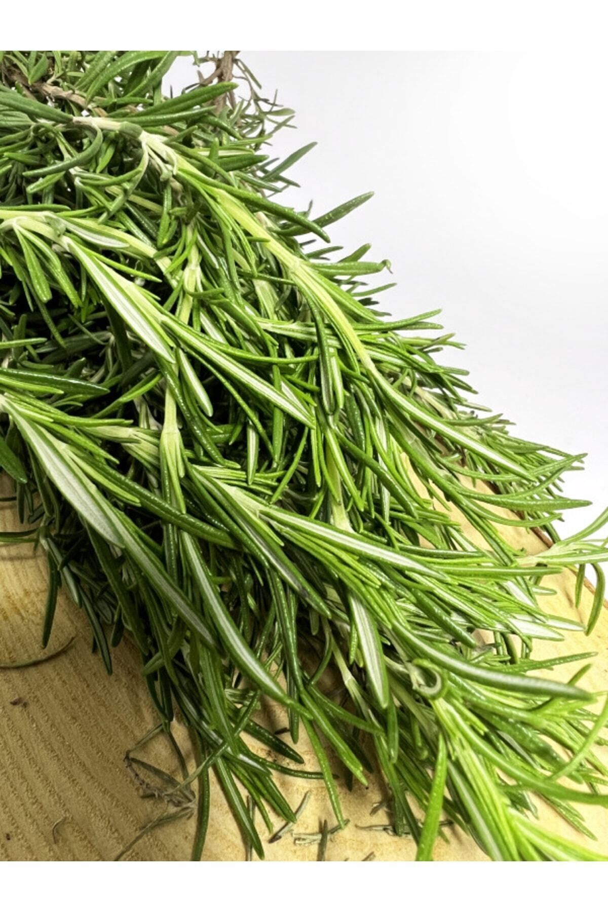 Doğal Taze Biberiye 40gr Fresh Rosemary