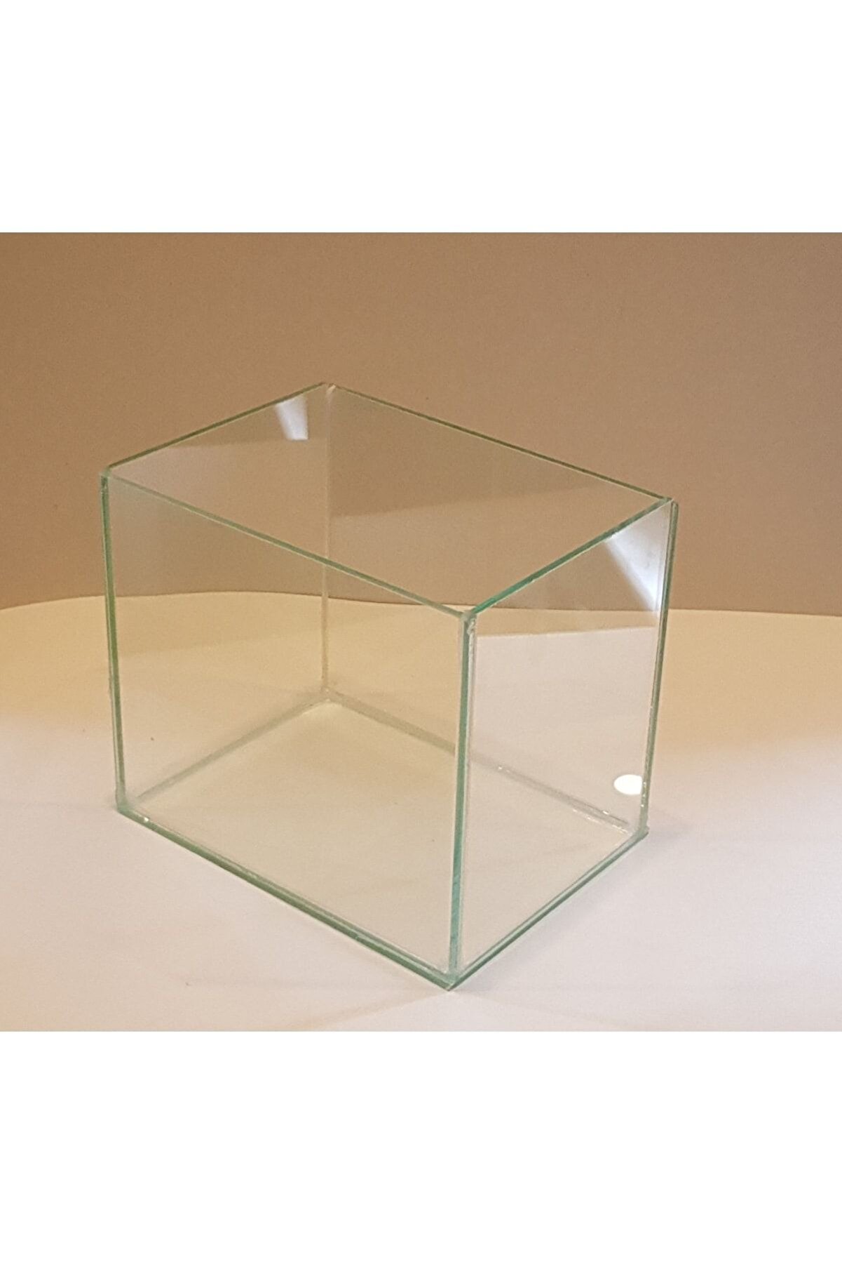 Beta Full Cam Küçük Akvaryum Fanus 20 Cm 5 Litre