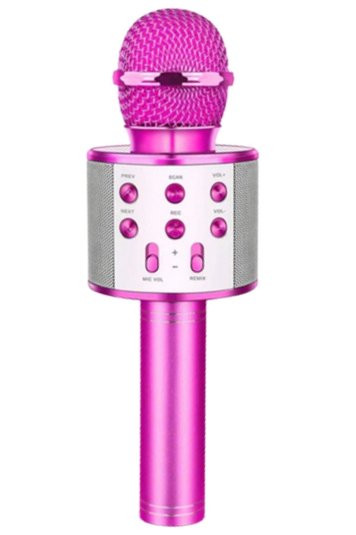 Karaoke Mikrofon Bluetooth Aux Usb Sd Kart Girişli (WS-858)