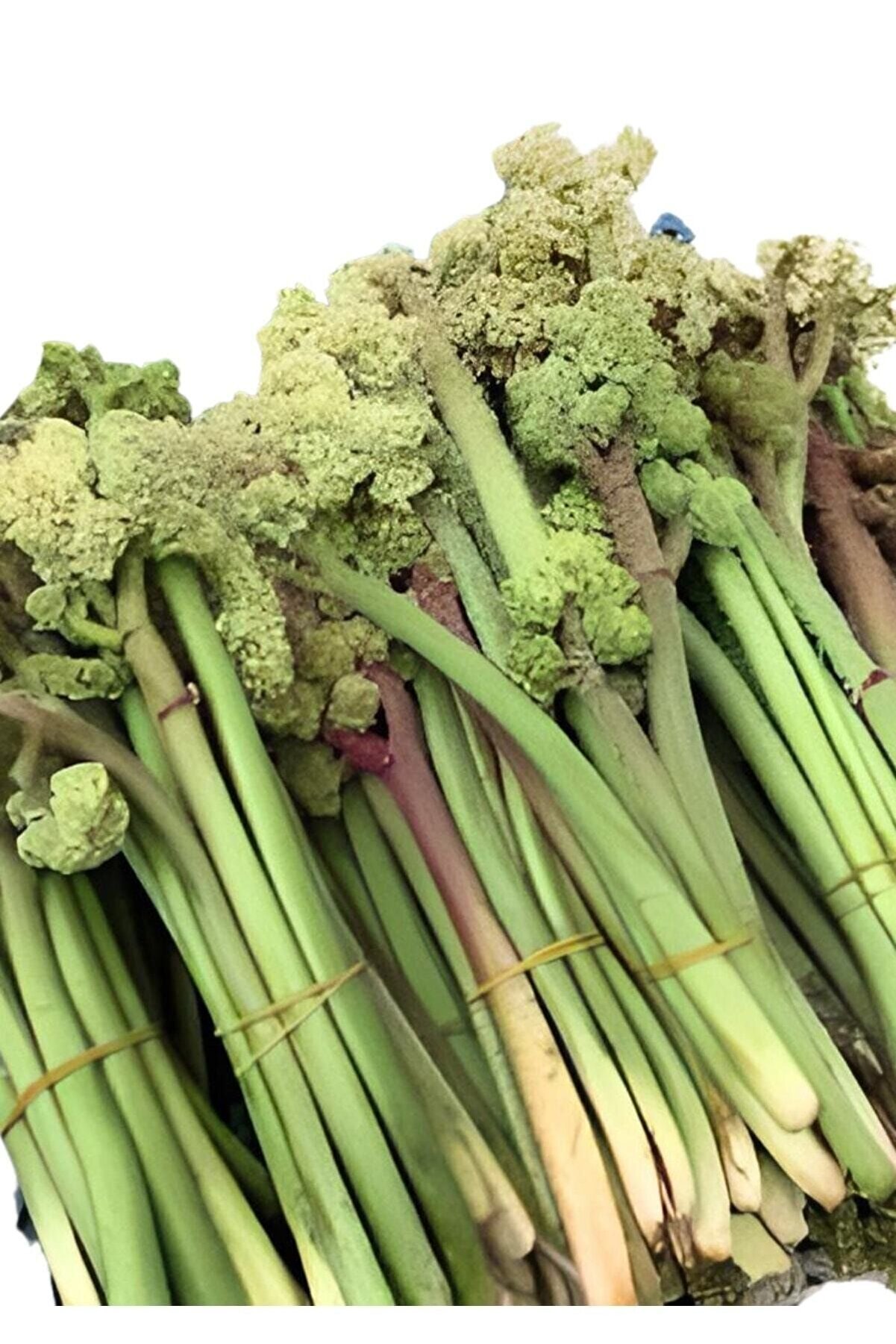 Taze Işkın Otu,yayla Muzu,dağ Muzu 500 Gram