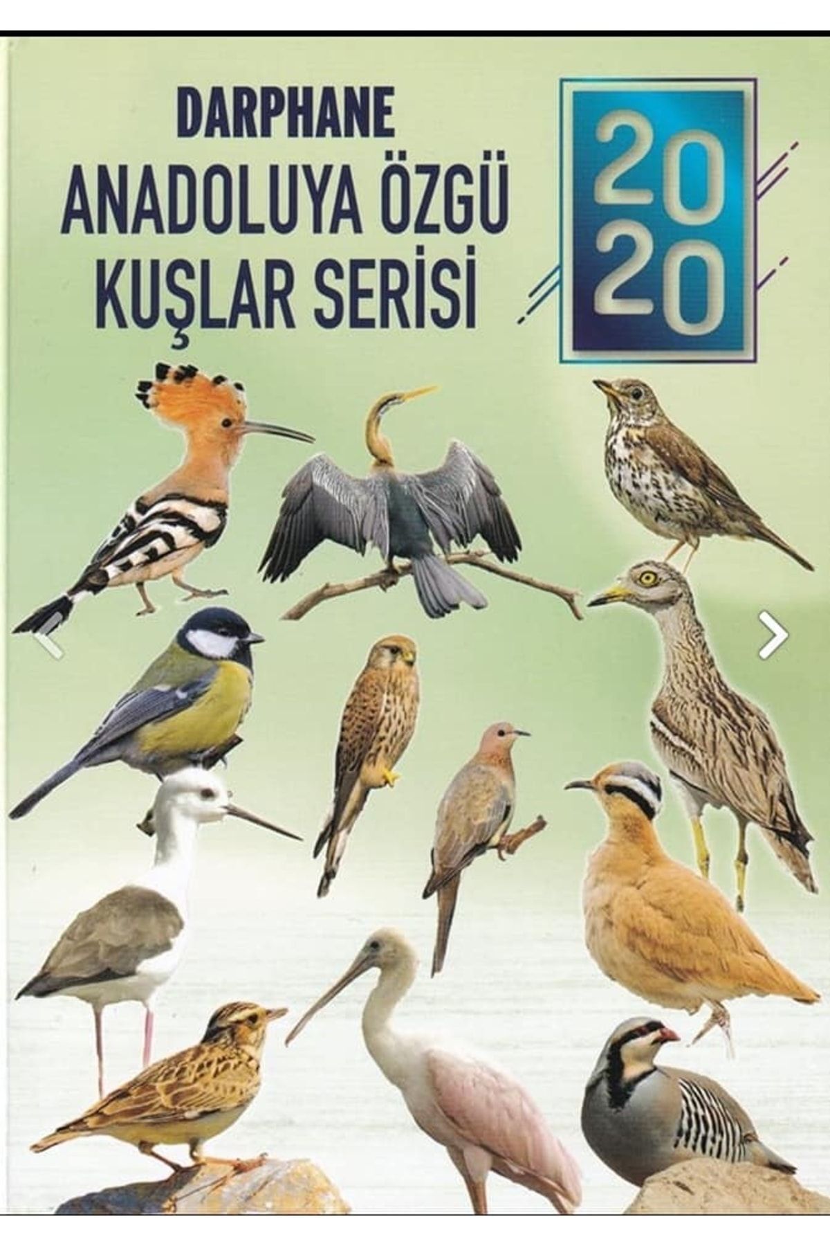 2020 Anadoluya Özgü Kuşlar 12'li Takım Alüminyum