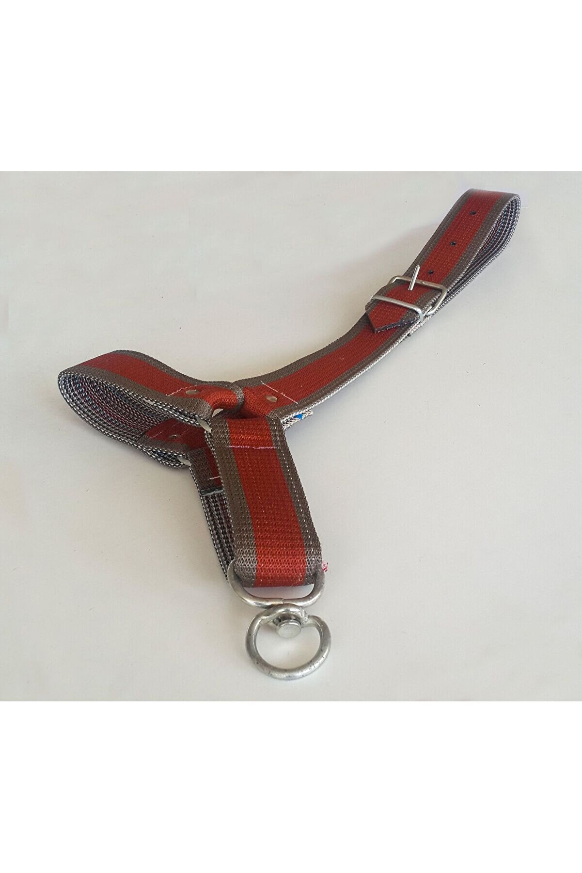 Büyükbaş Tosun Yuları