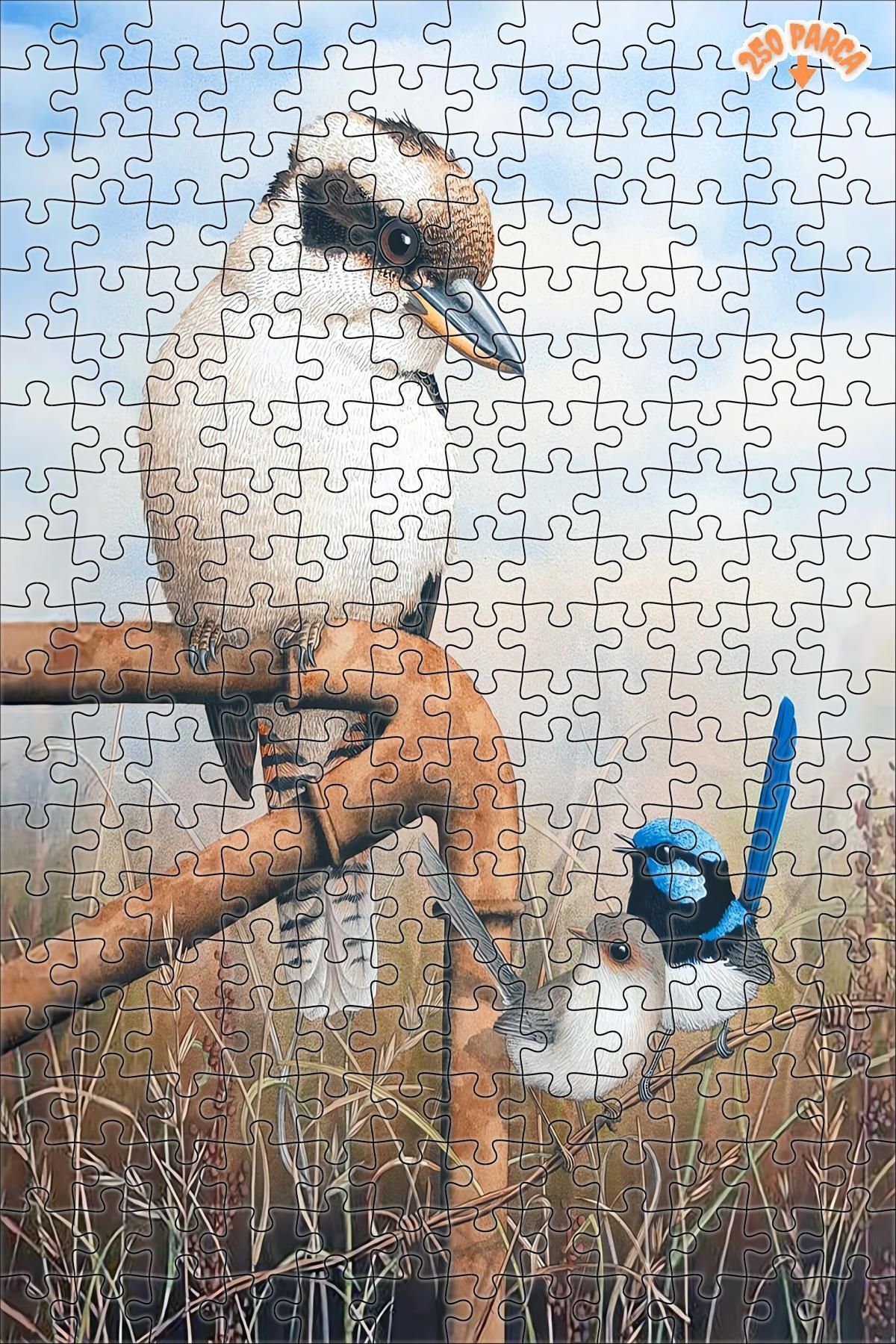 Kookaburra &amp; çalıkuşları Dekoratif Çift Katlı Çerçeveli Asılabilir Ahşap Puzzle 250 PARÇA 30X30