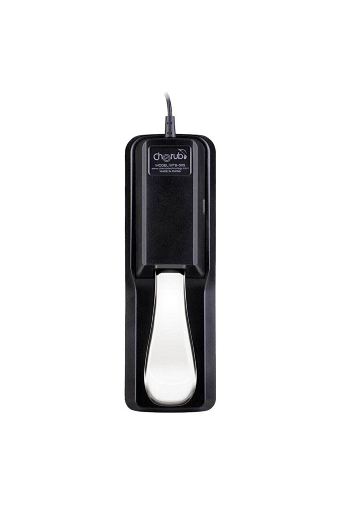 Wtb-005 Sustain Pedal