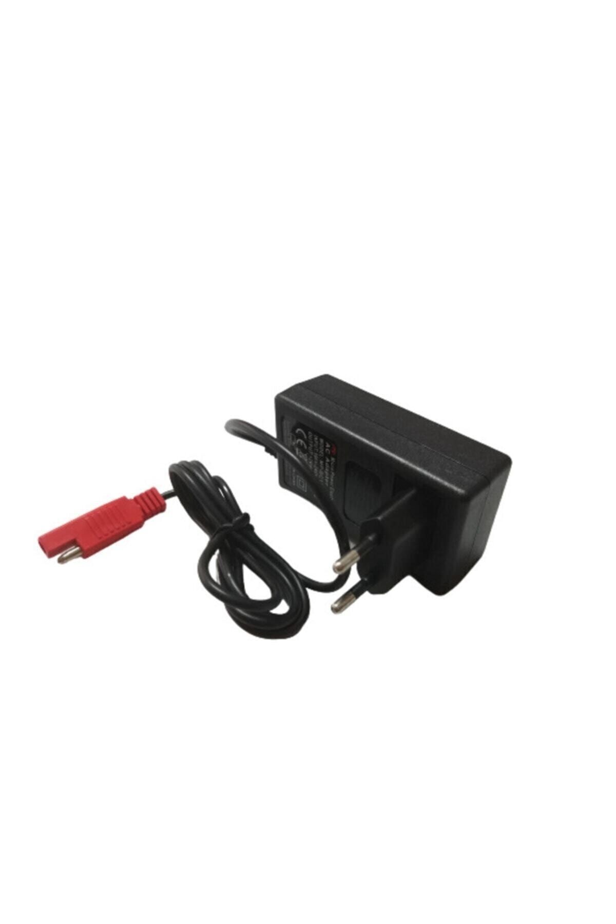 Akülü Araba Akü Şarj Cihazı 12 V