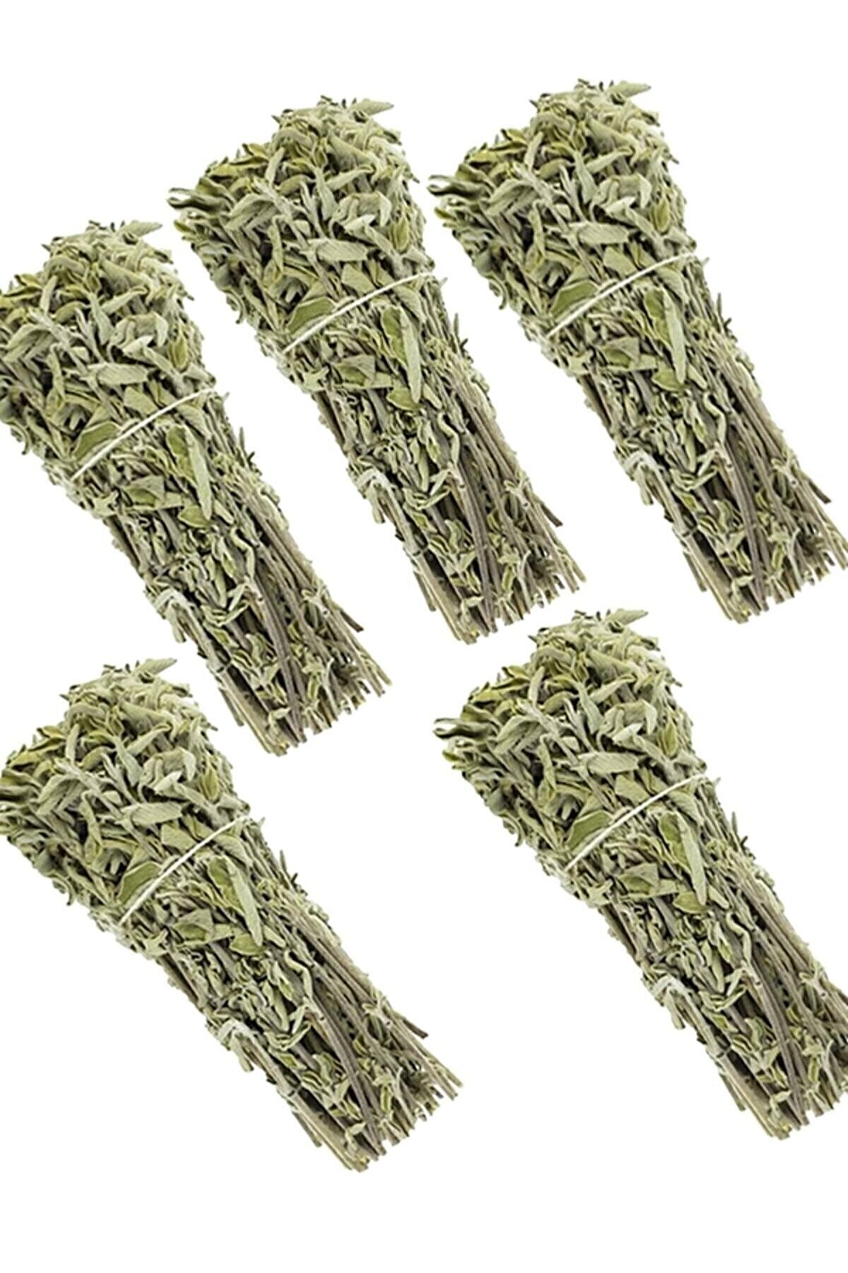 Yeni Mahsül Adaçayı Demet (bağ) 5'li Çay-tütsü