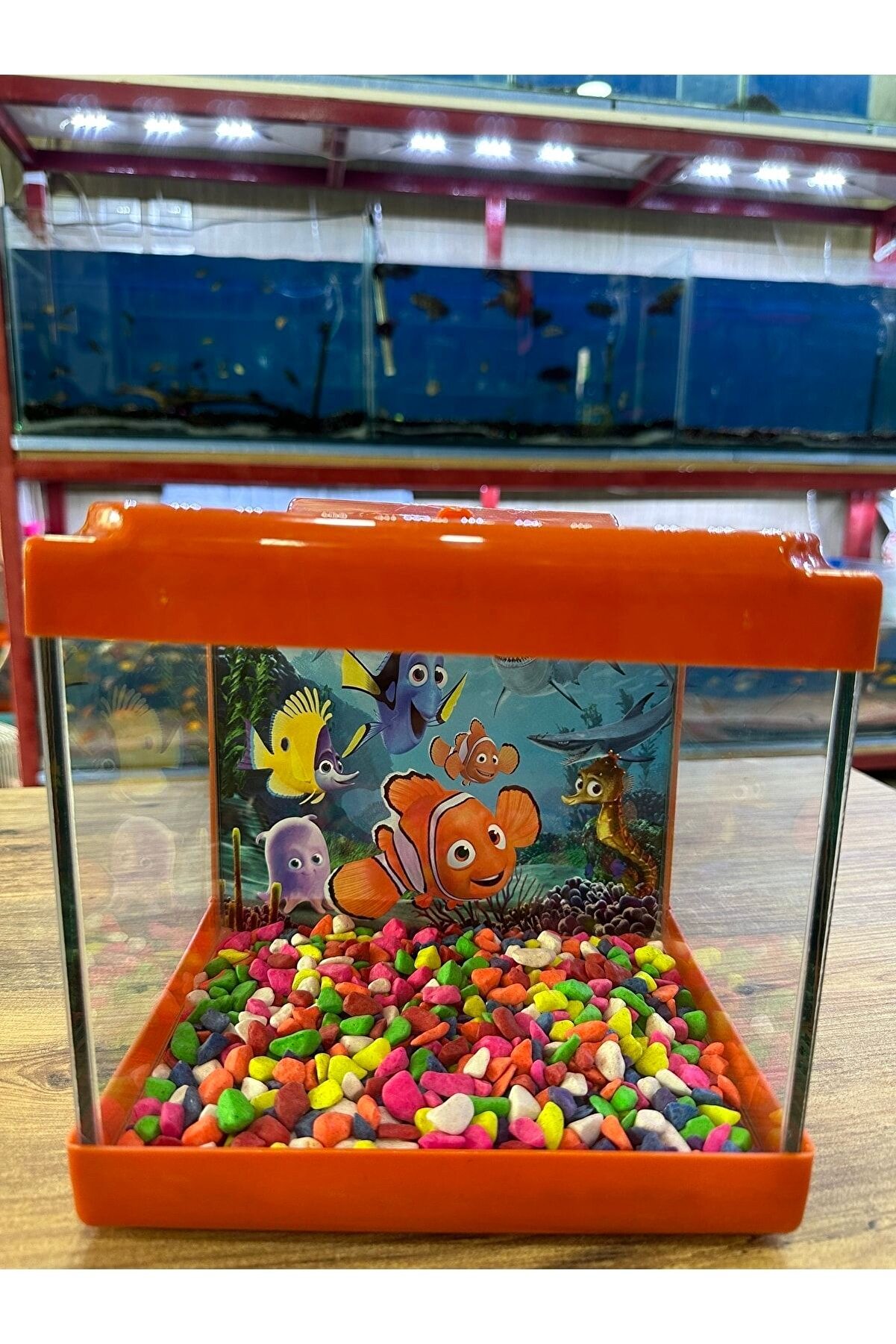 Turuncu Renkli Mini Kare Akvaryum 20x20x15