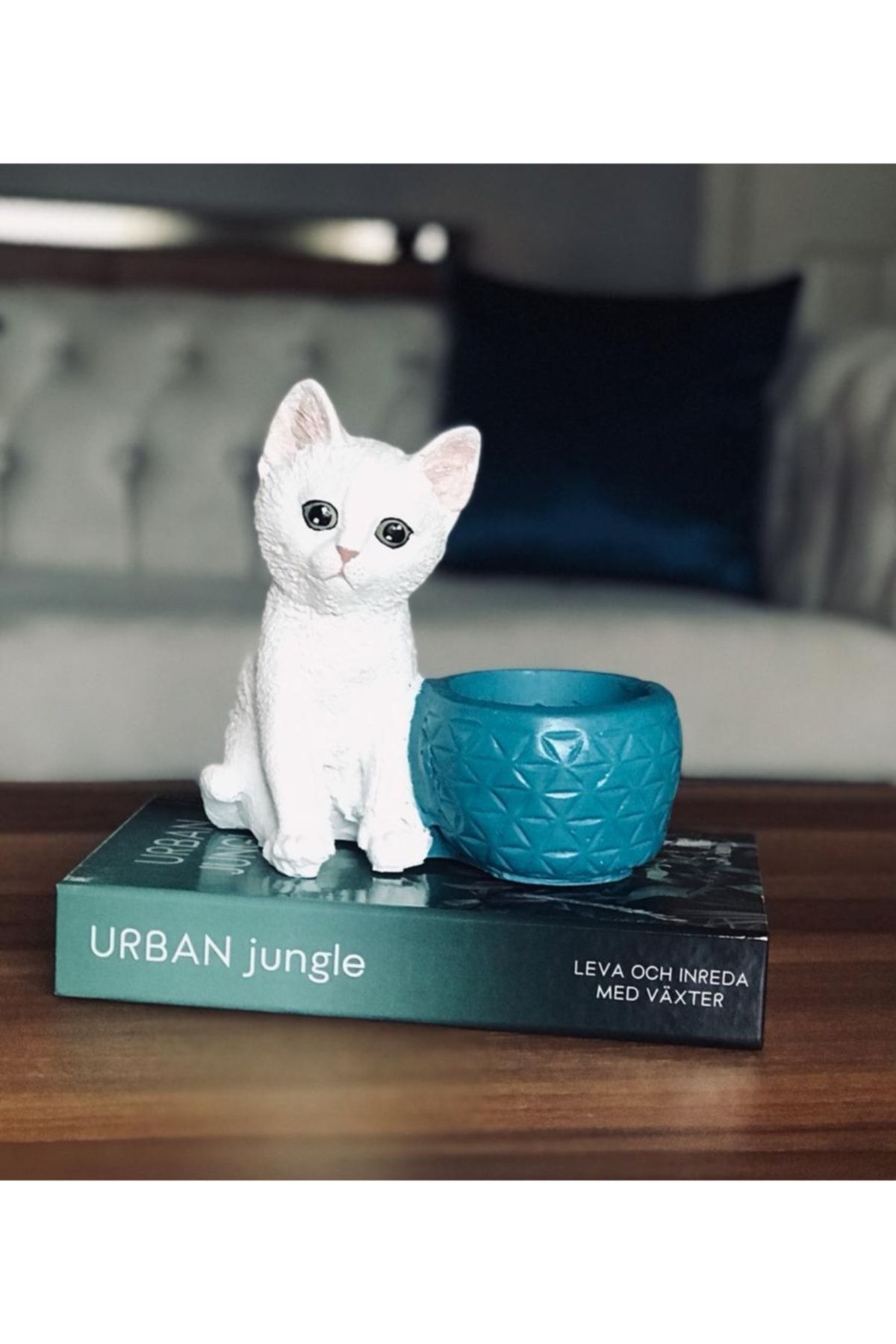 Saksılı Kedi Biblosu