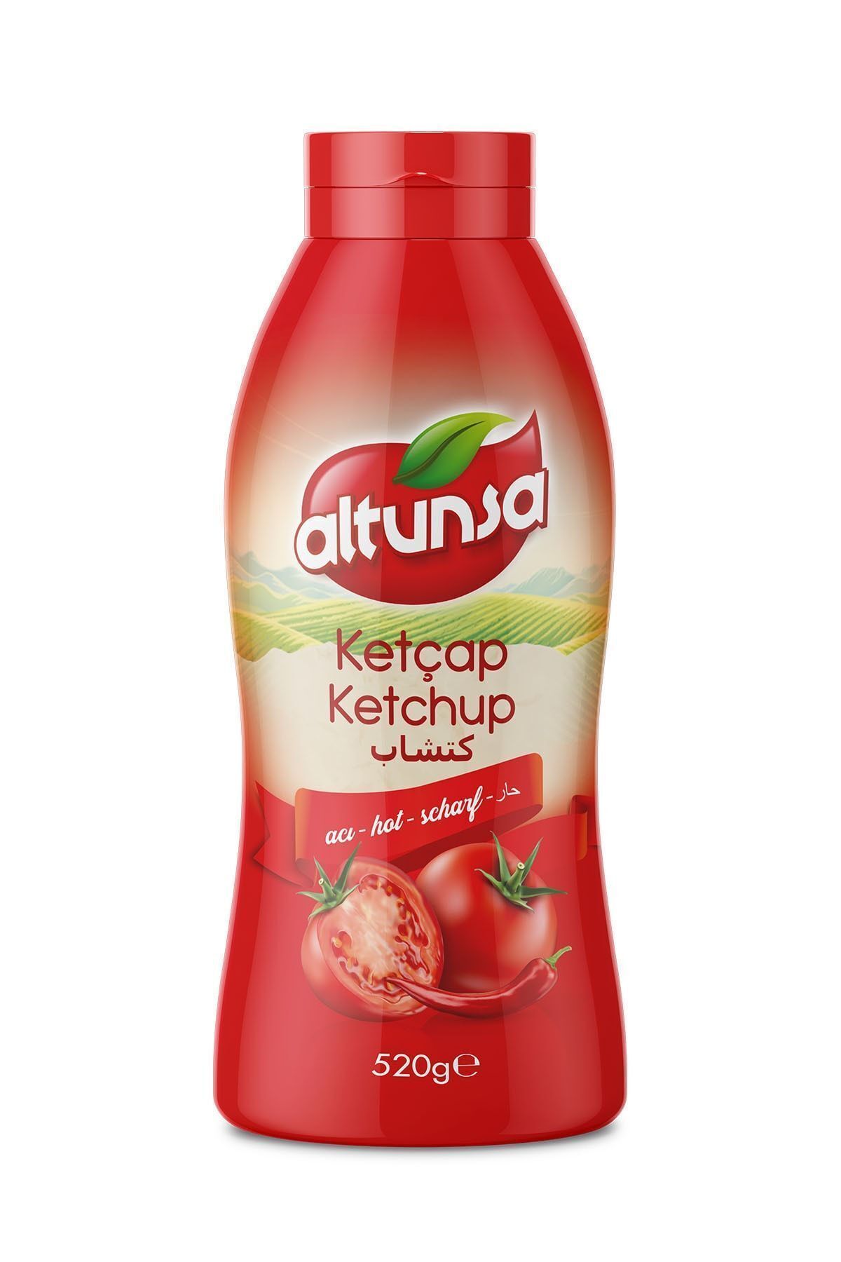 Acılı Ketçap 520 gr