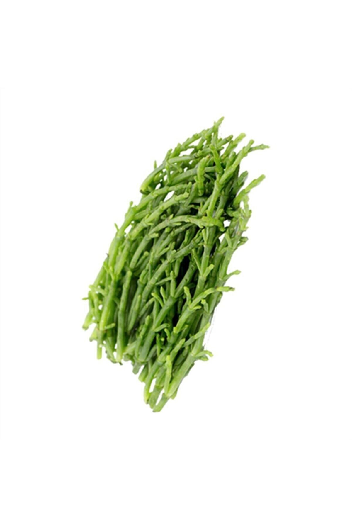 Deniz Börülcesi ( 5-demet)