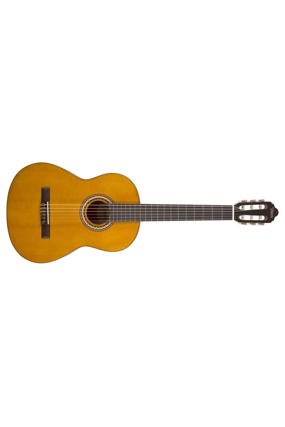 Vc204 Klasik Gitar Kılıf Ve Pena Hediyeli - GTR-10