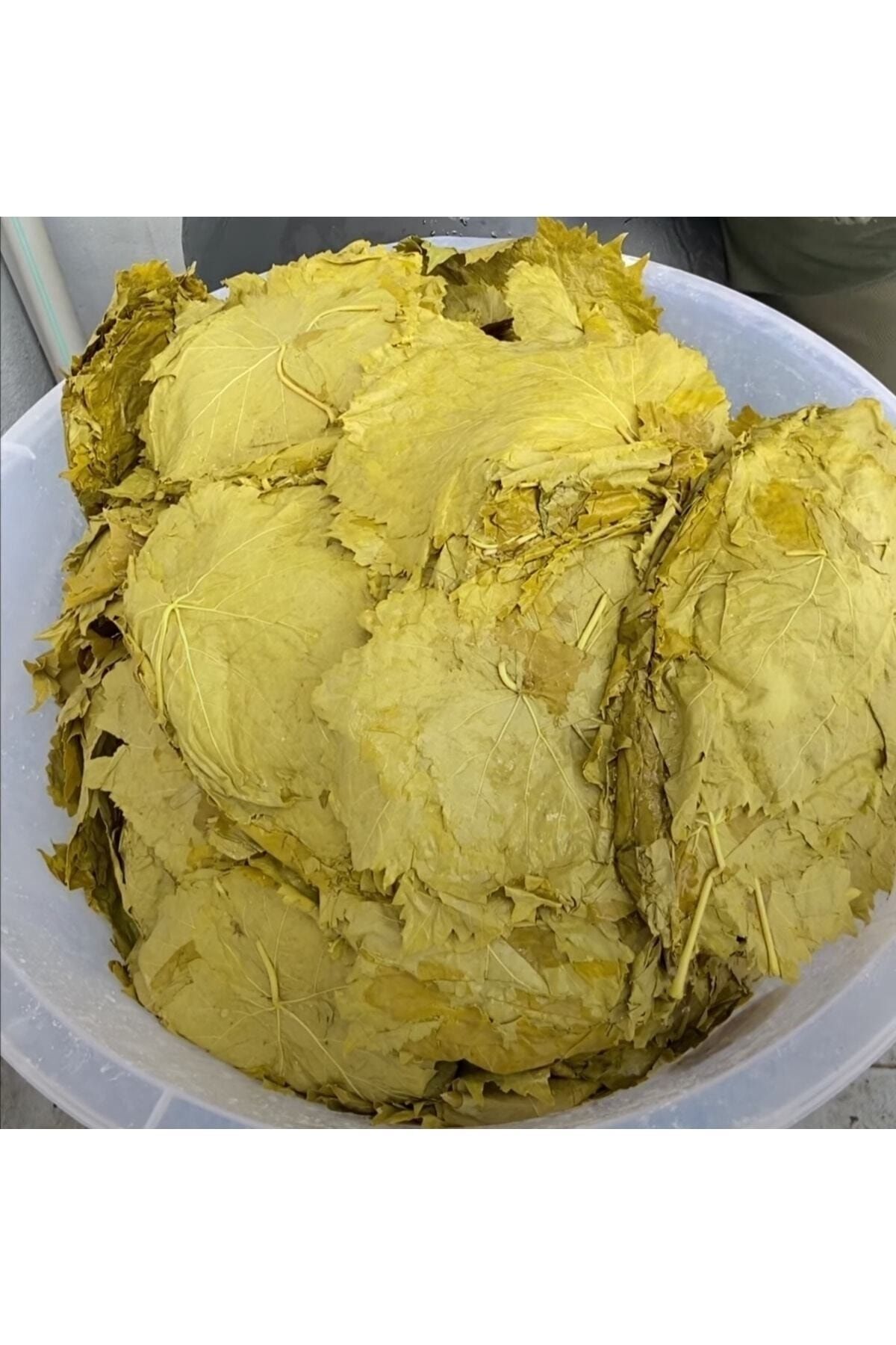 2022 Yeni Mahsul 5kg Manisa Turgutlu Salamura Sultaniye Üzüm Yaprağı