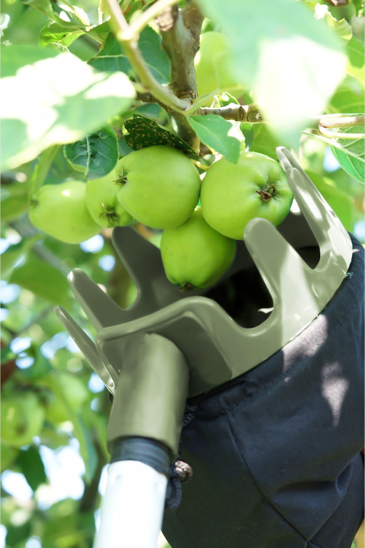Meyve Toplayıcı, Limon, Elma Vb. Plastik Meyve Toplama Aparatı