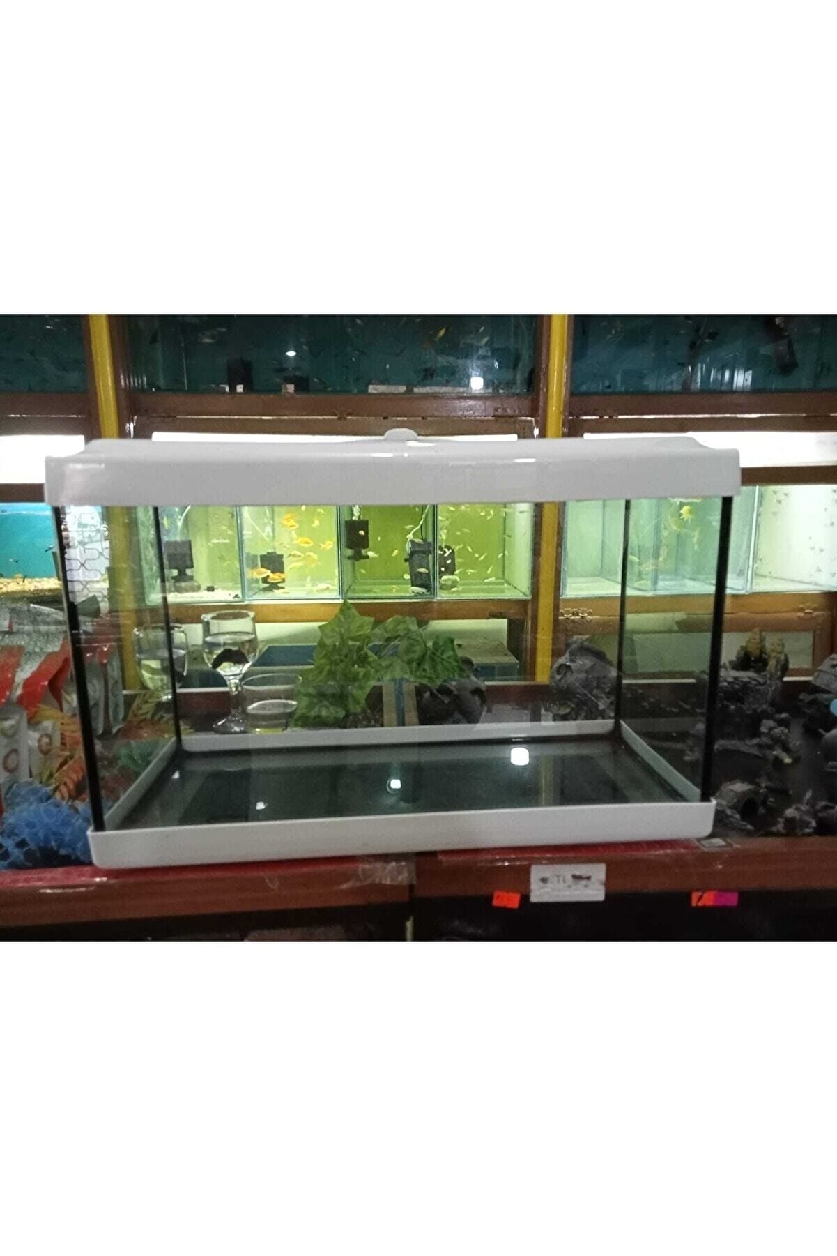 Akvaryum 50 Cm Beyaz Renk