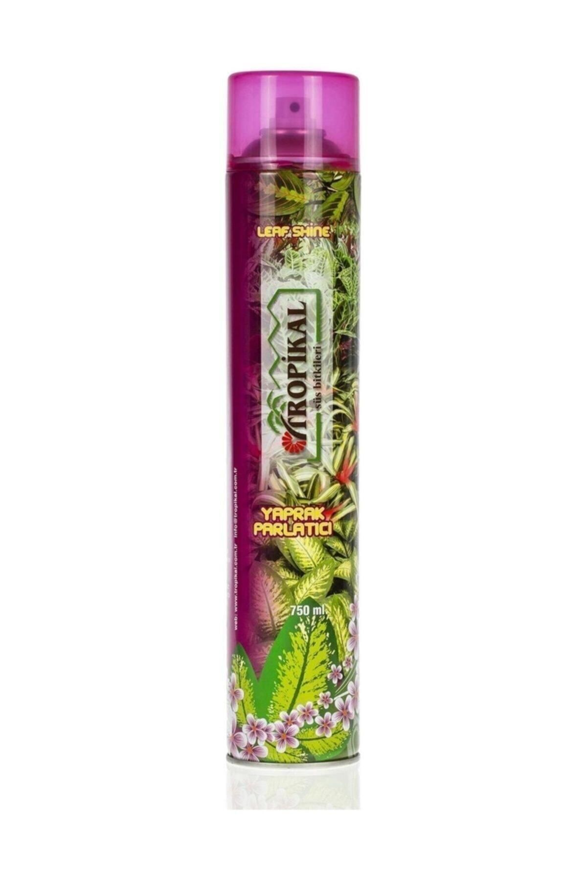 Yaprak Parlatıcı Spreyi (750 ML) Evde Ofisteki Çiçekyapraklarınız Dahada Yeşil Ve Canlı Olması Için