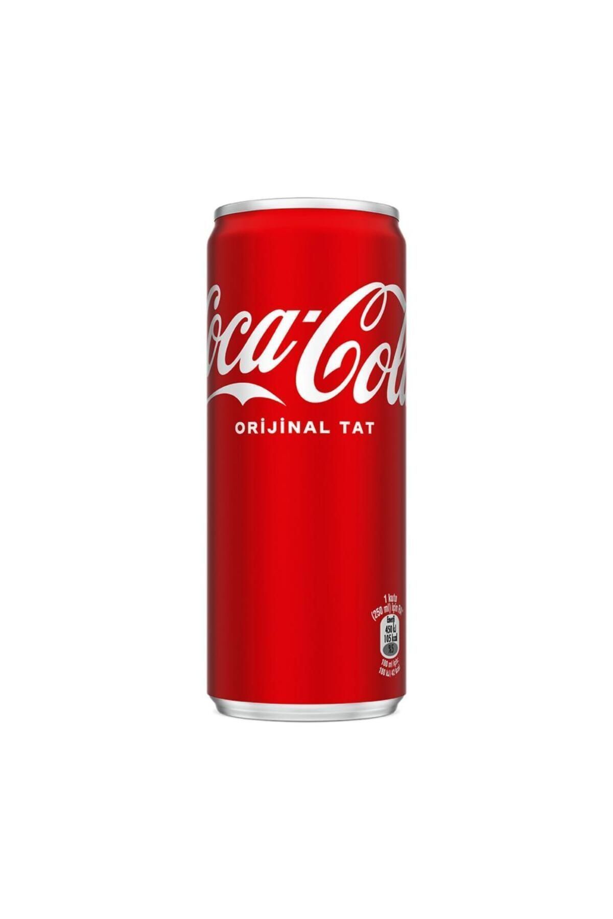 Coca Cola 250 ml 24'lü