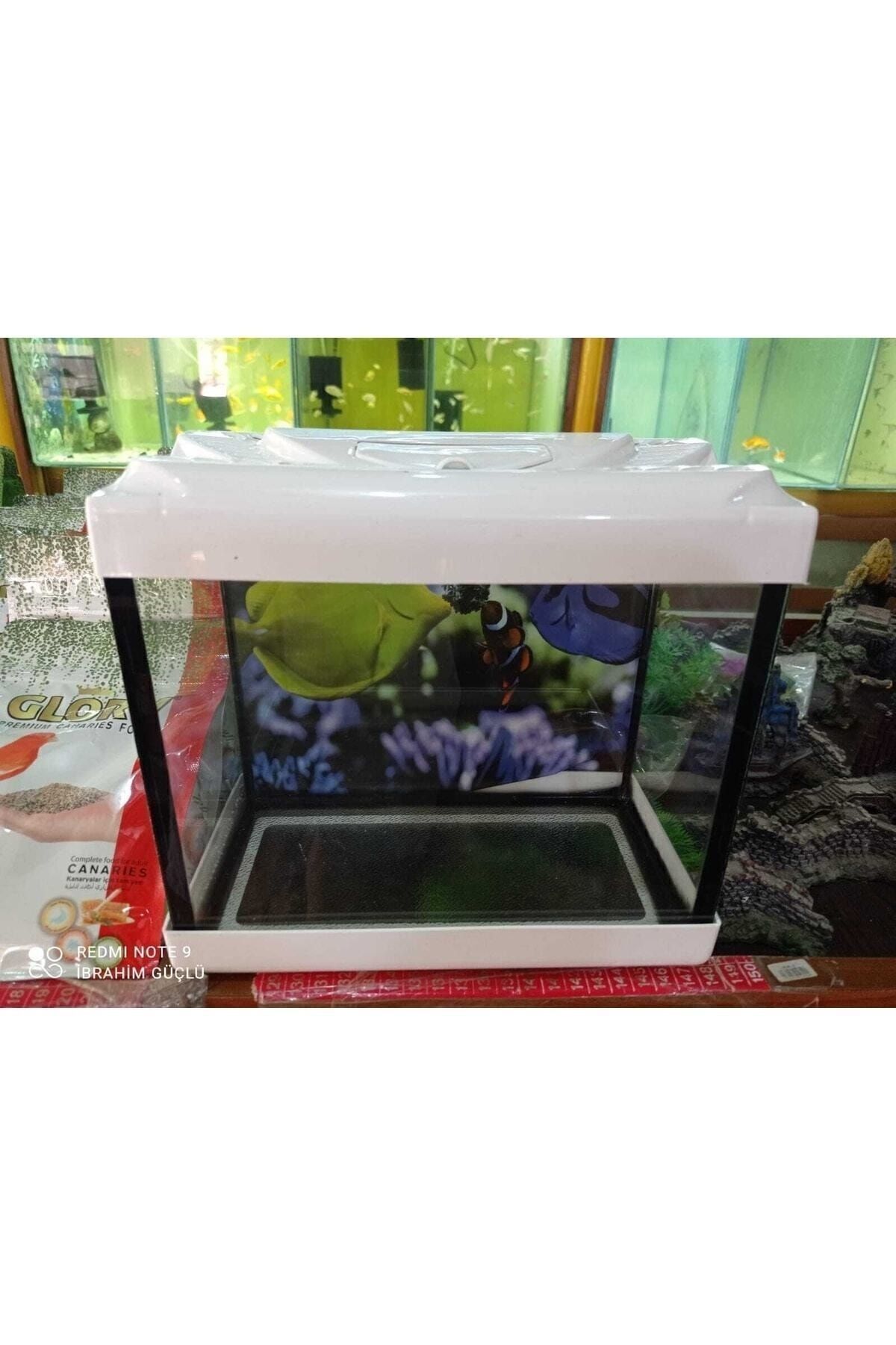 Ikizler Akvaryum 22.5 Cm Tüm Renkler