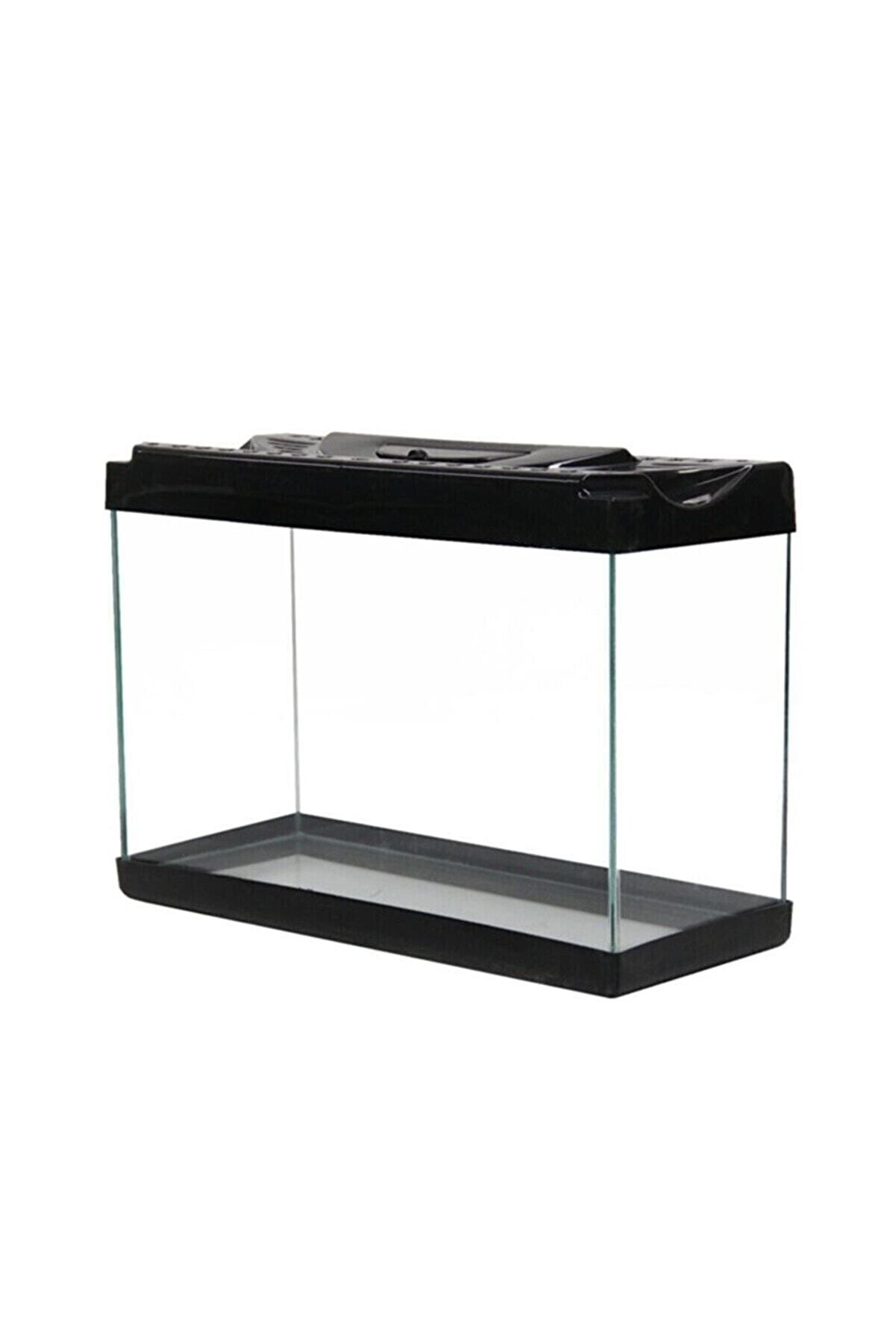 Petshop 30 Cm Renkli Kapak Akvaryum Balık Yemi