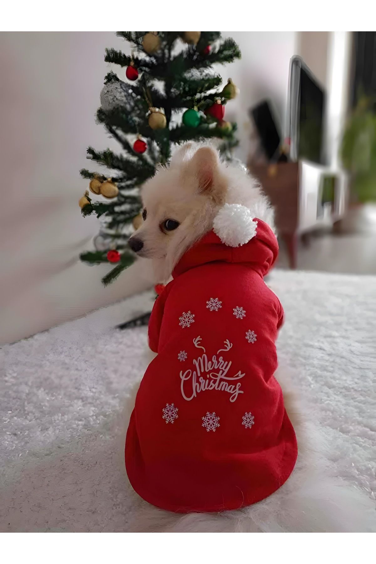 Kapişonlu Sweatshirt Köpek Ve Kedi Yılbaşı Kıyafeti - Yılbaşı Özel Noel Baba