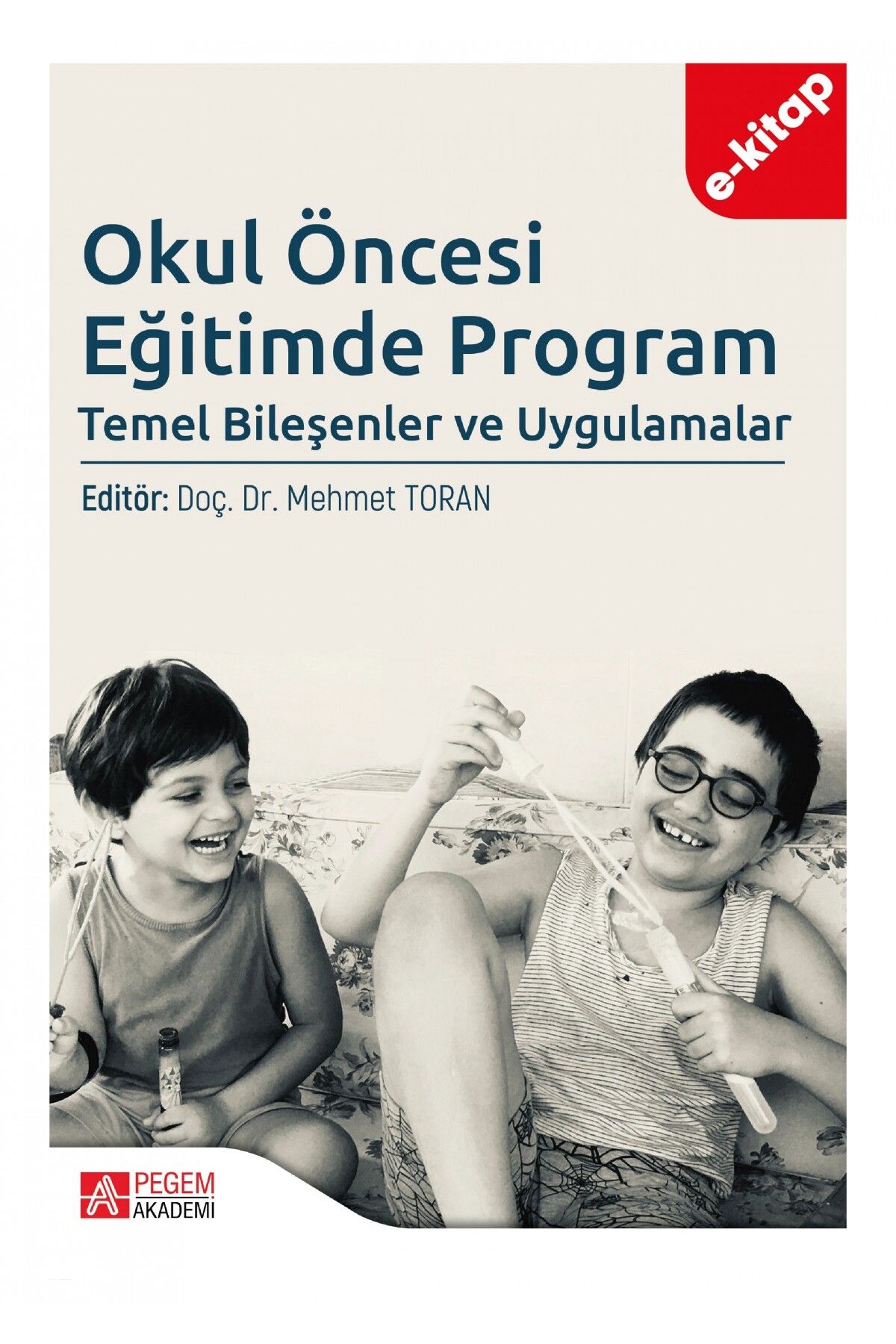 Okul Öncesi Eğitimde Program Temel Bileşenler ve Uygulamalar (e-kitap)