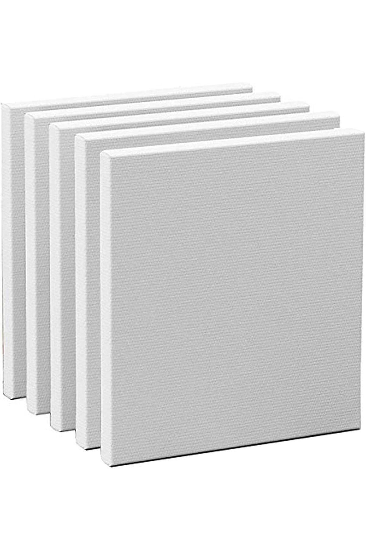 Küçük Resim Tuvali 5'li 20x20 Arkadan Zımbalı