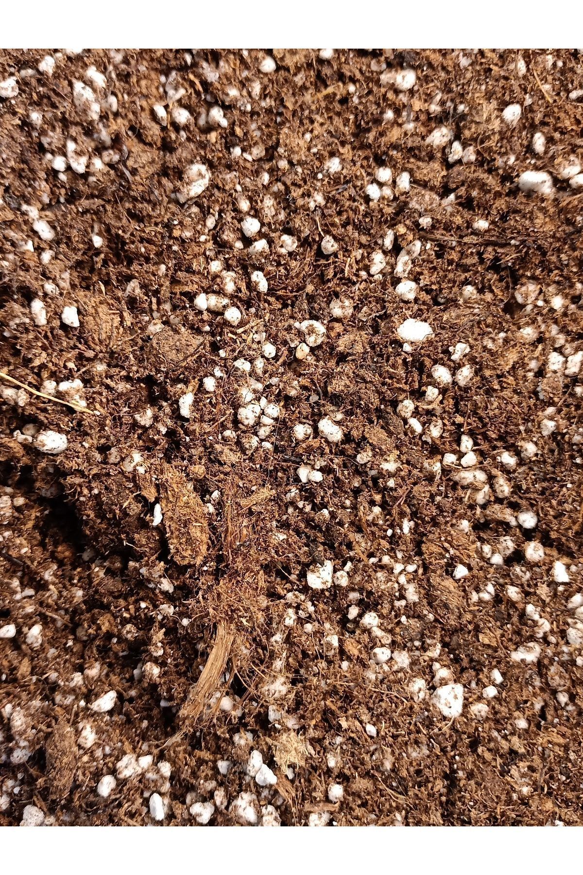 2 Litre Etobur Bitki Özel Toprak Torf Karışımı Sphagnum Peatmoss Mix