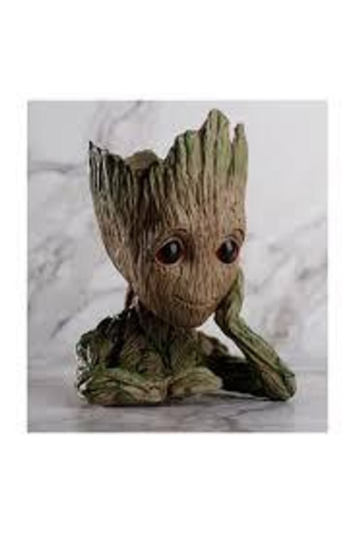 Groot Saksı