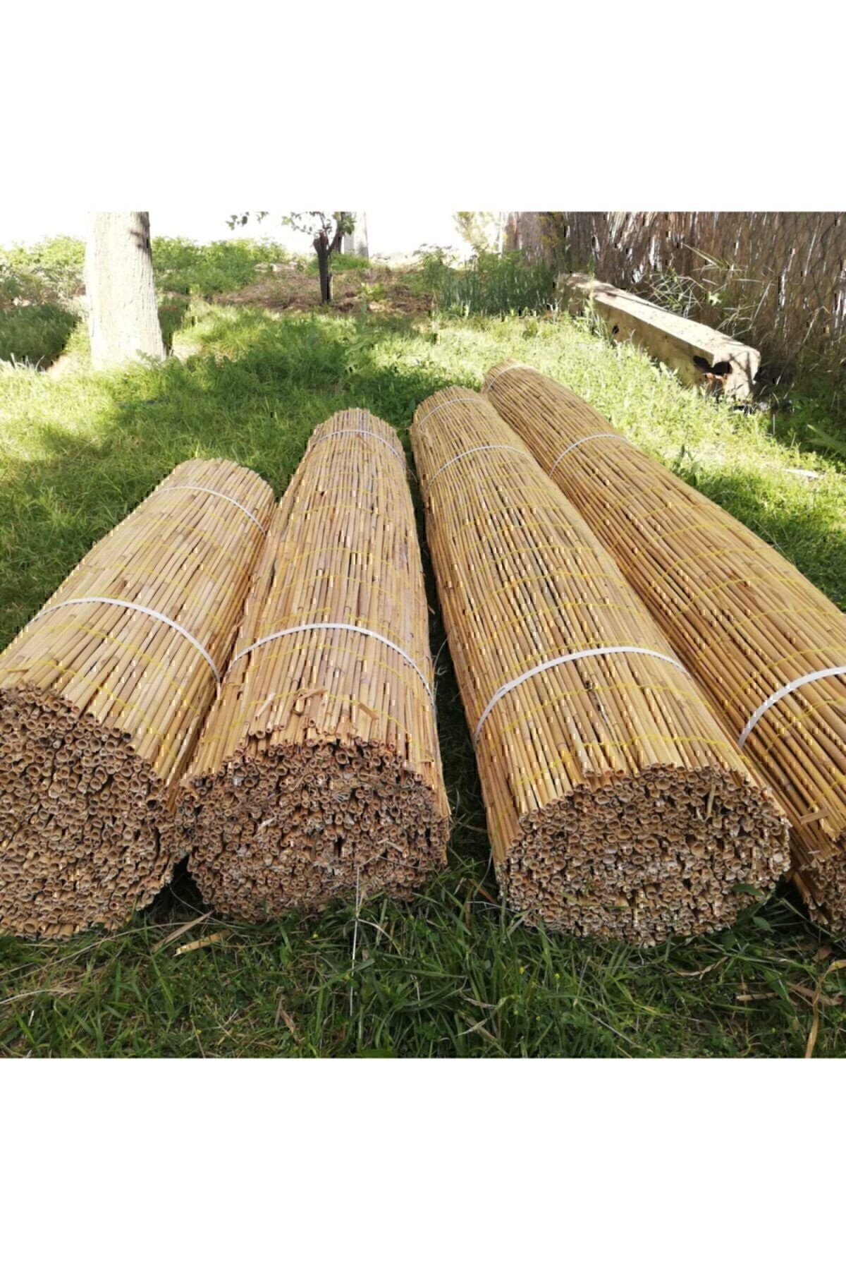 Kamış Hasır 2,00×3,00 m