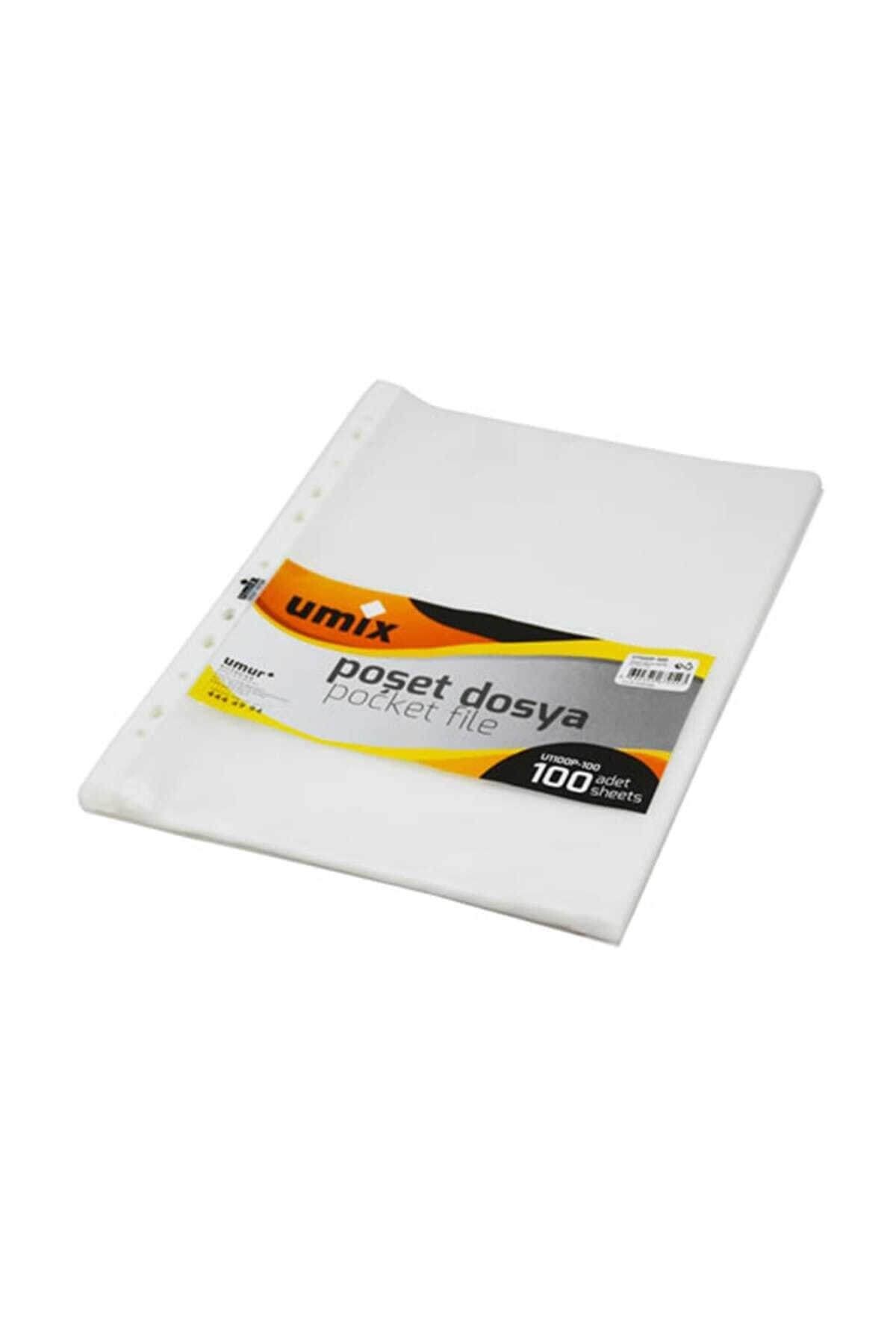 A 4 Poşet Dosya 45 Mikron 1100p 100'lü