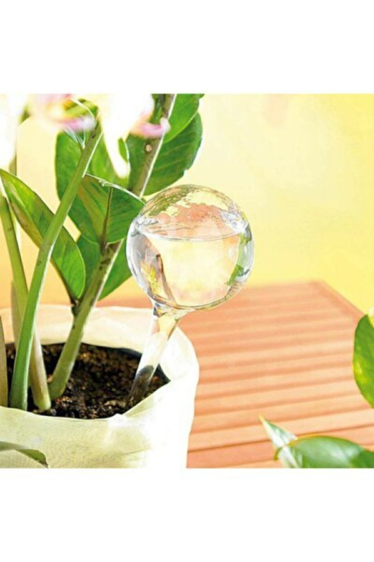 Çiçek Bitki Saksı Sulama Damlama Sistemi Sulama Aparatı 500ml 4 Lü