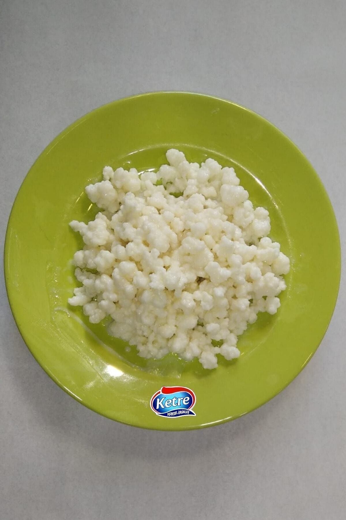 Kefir Mayası