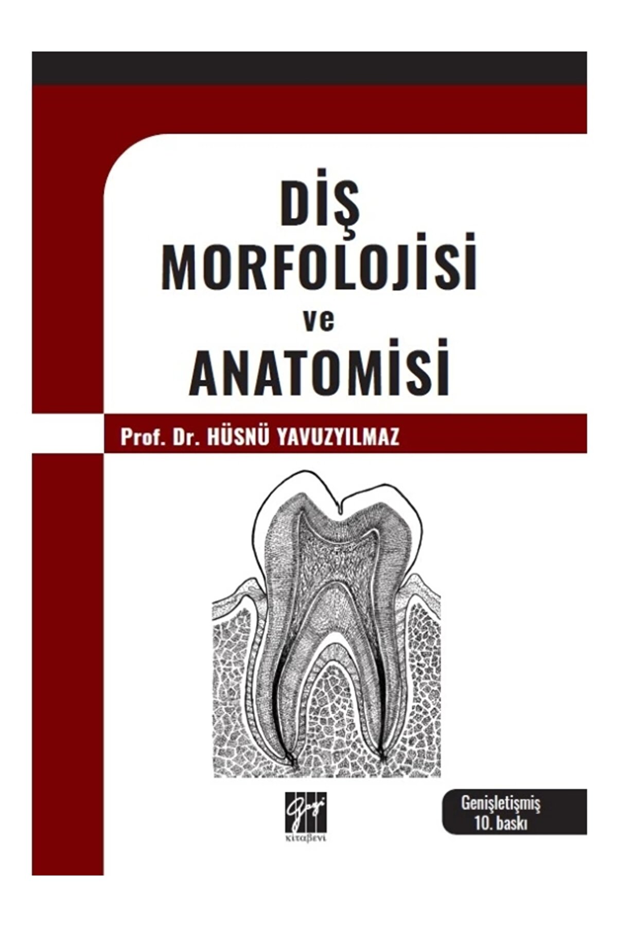 Diş Morfolojisi Ve Anatomisi - Prof. Dr. Hüsnü Yavuzyılmaz 10. Baskı