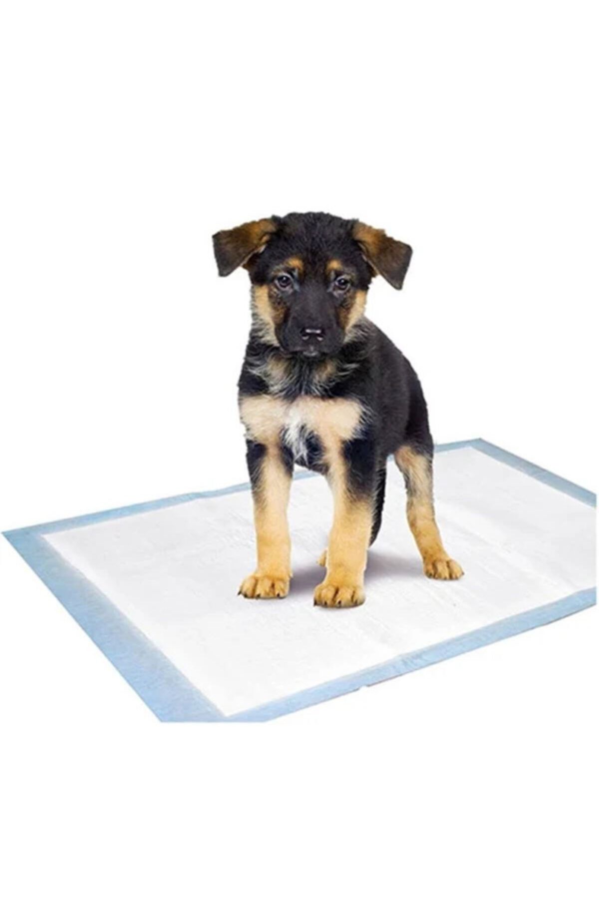 Mavell 30 Lu Köpekler Ve Kediler Için Tuvalet Pedi Süper Emici Yatak Koruyucu Serme Bezi 60x90 Cm