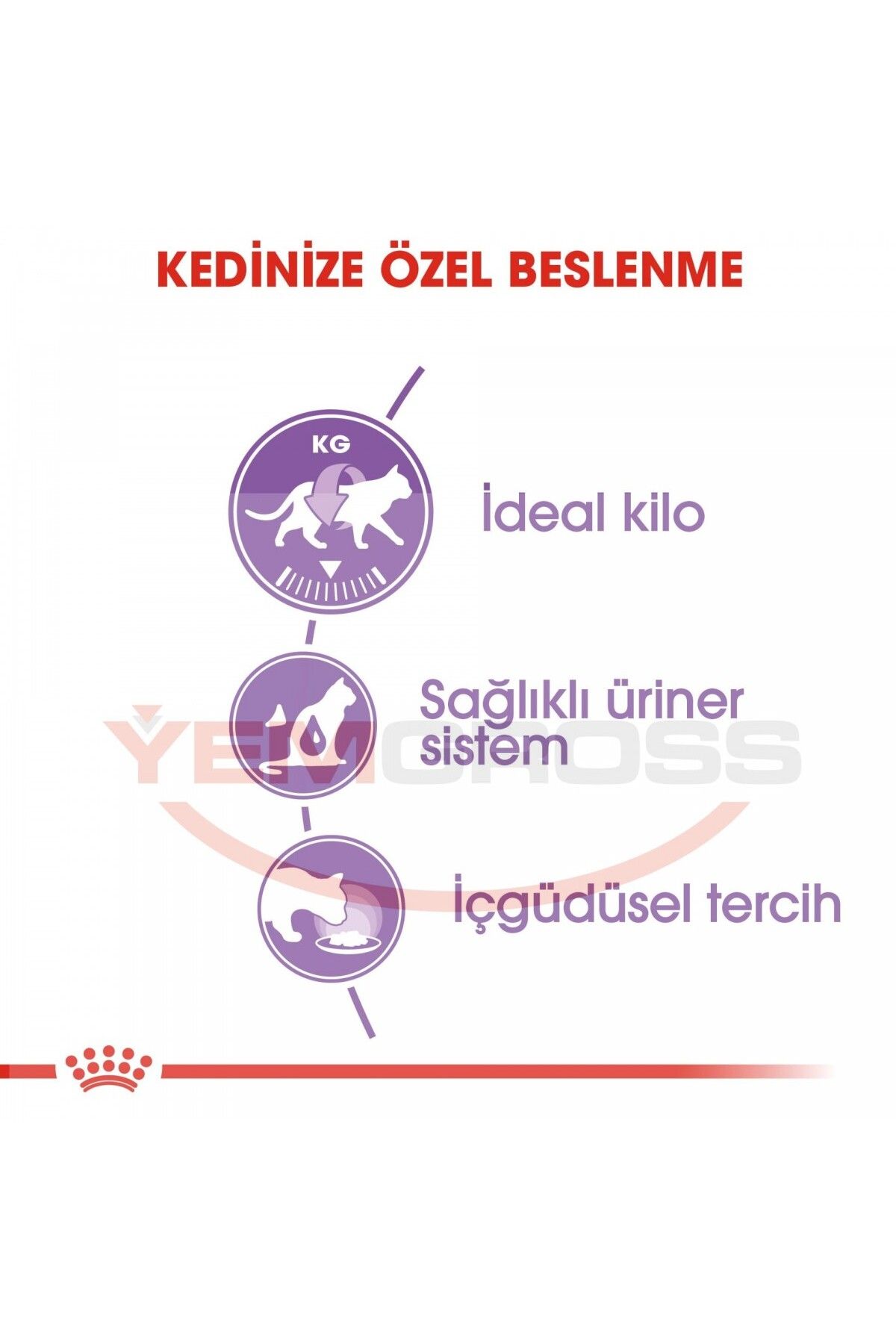 Sterilised Jelly Kısır Kedi Pouch Yaş Mama 85 gr X 12 Adet