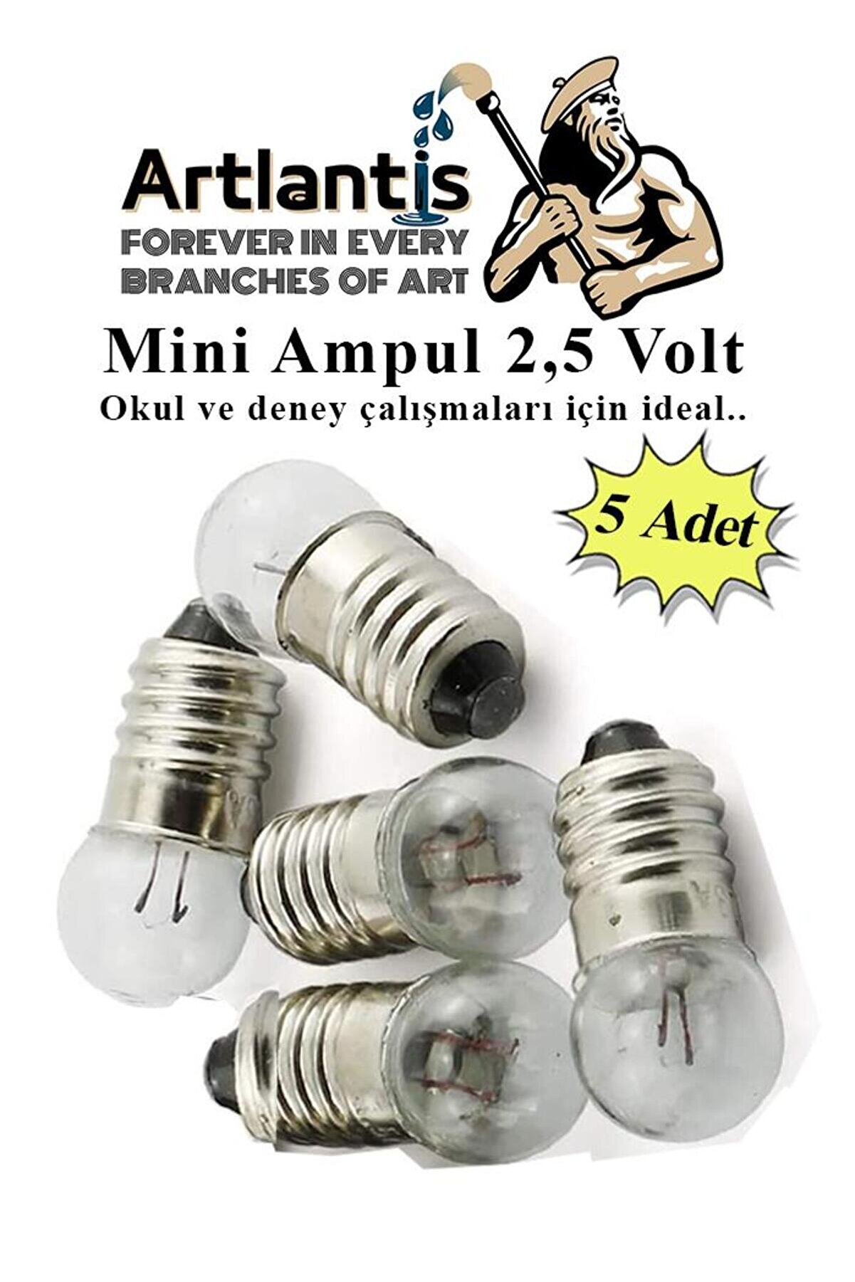 Mini Ampul 2,5 Volt 5 Adet 1 Paket Küçük Elektrik Deney Ampulü 2.5 v Okul Sınıf Elektrik Devre Deney