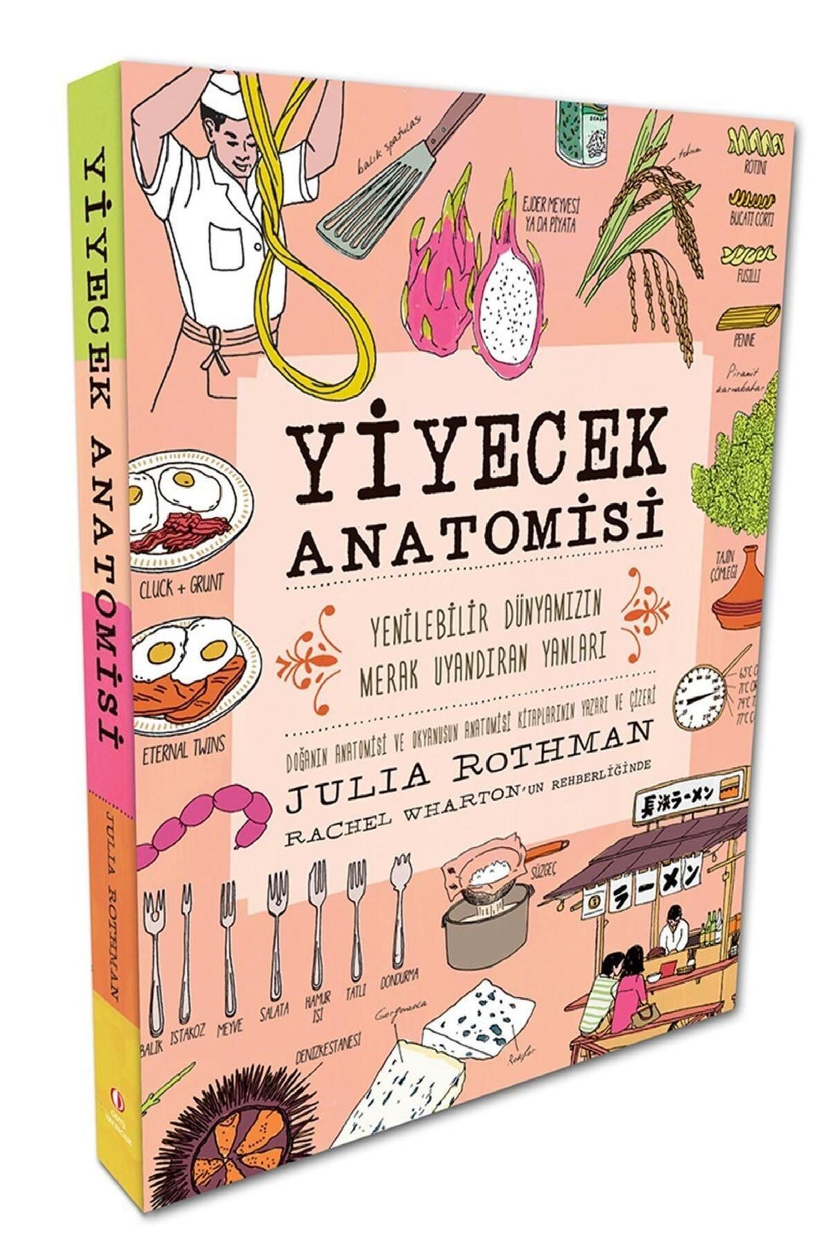 Yiyecek Anatomisi