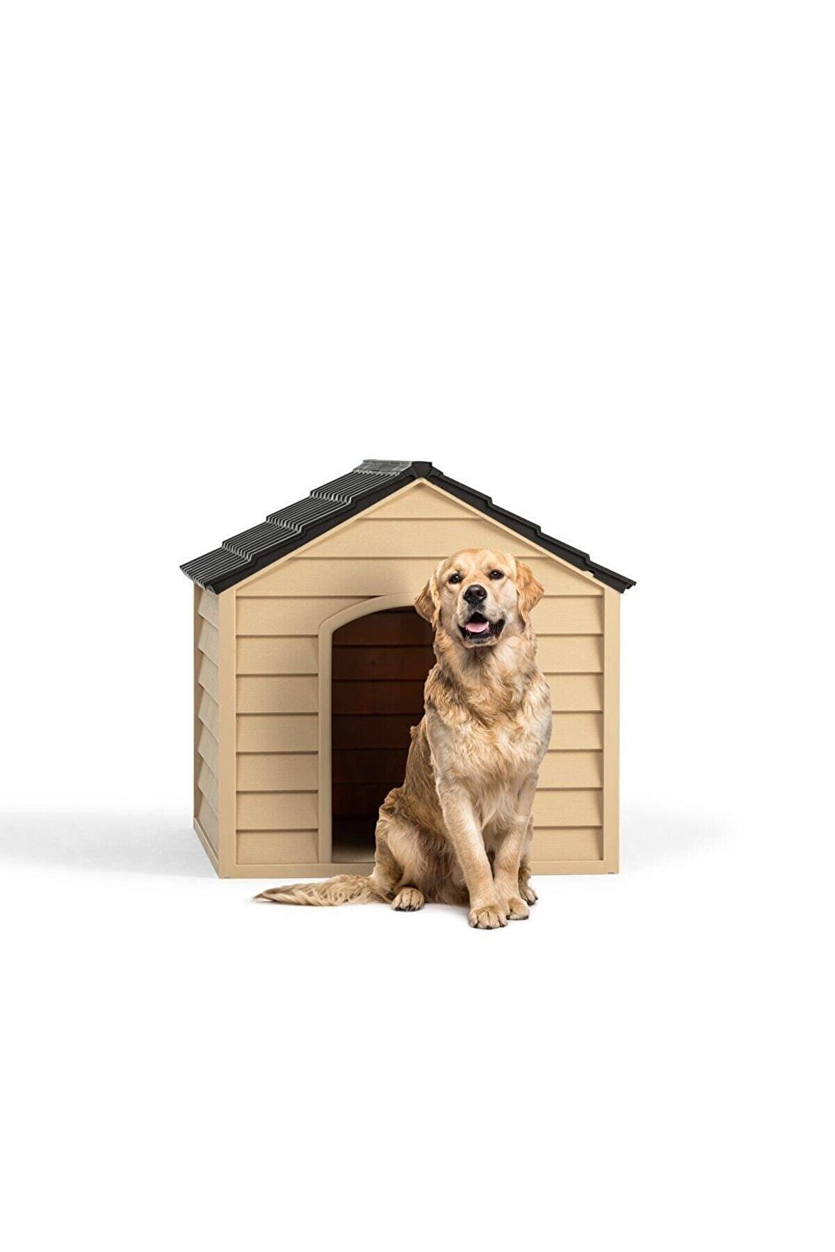 Köpek Kulubesi - Bahçe Ve Kapı Önü Taşınabilir Kolay Kurulum Ve Yüksek Kalite Malzemeli