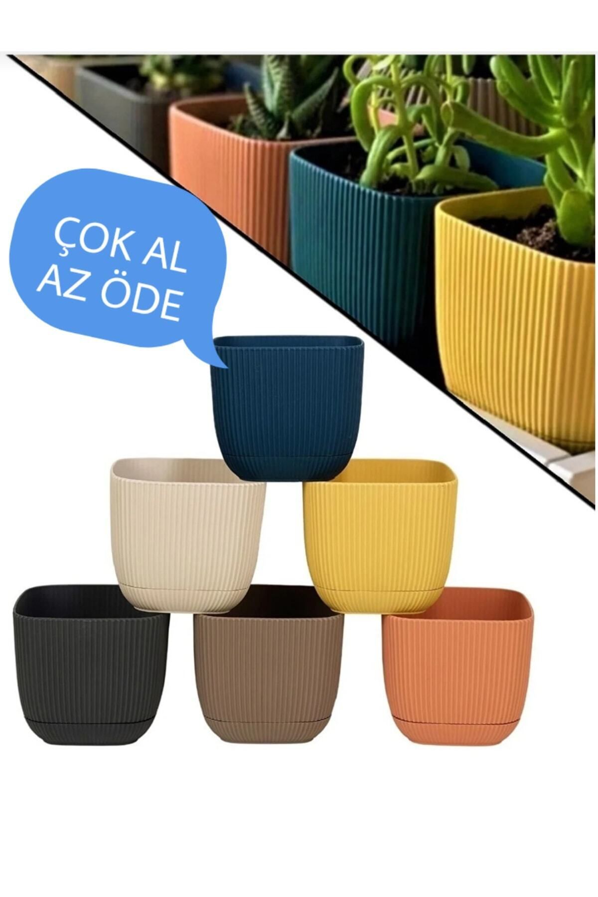 6 Adet Mini Boy 6 Çok Renkli Mercan Kare Saksı Seti