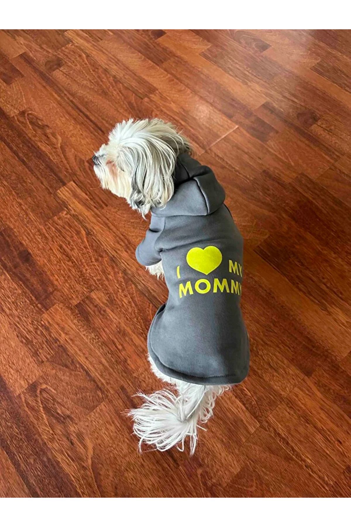Kapüşonlu Sweatshirt Köpek ve Kedi Kıyafeti Antrasit I Love Mommy