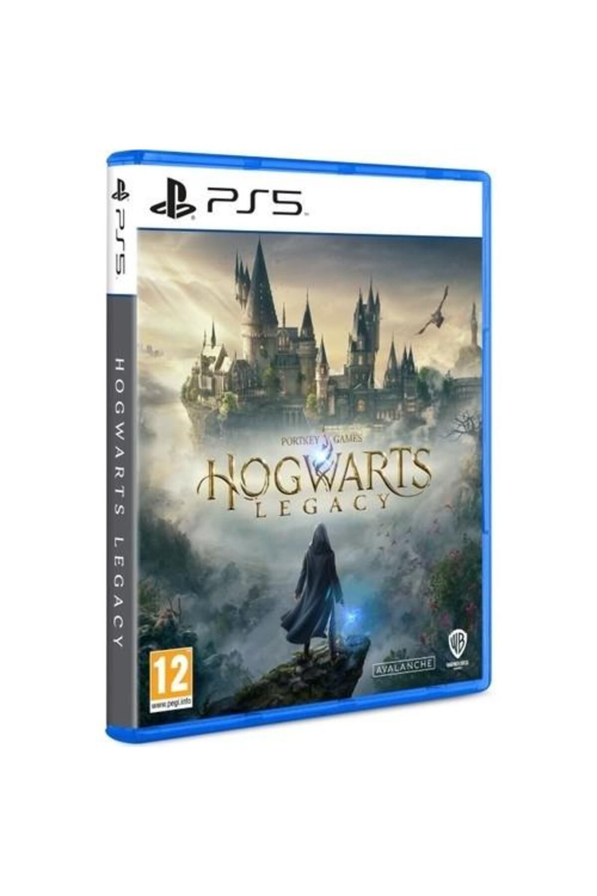 Hogwarts Legacy PS5 Games