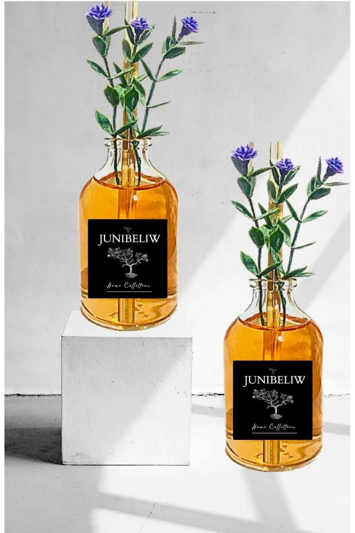 Banyo Tuvalet Kokusu Oda Kokusu Koku Giderici Hafif Egzotik Meyve 2x50ml (ÇİÇEKSİZ)