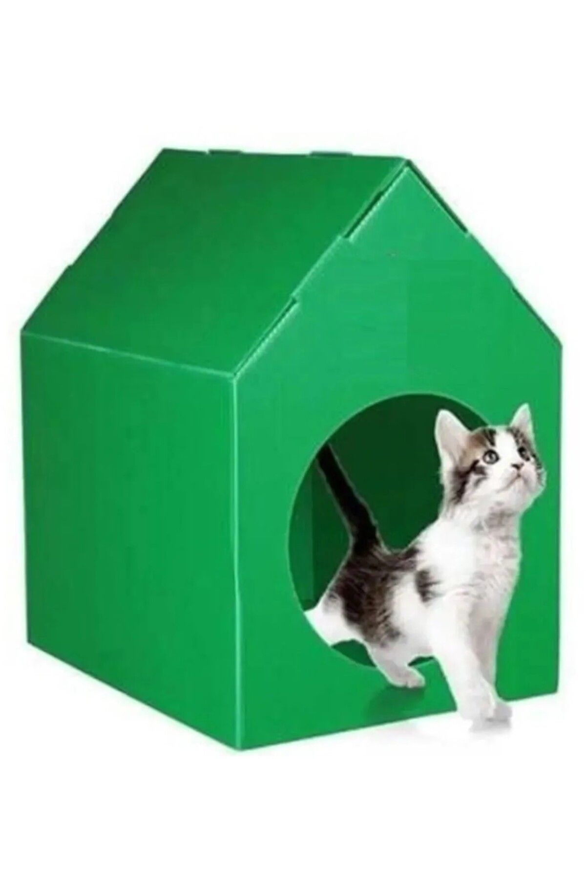 Kedi Köpek Evi Plastik Su Geçirmez - Yeşil Renk