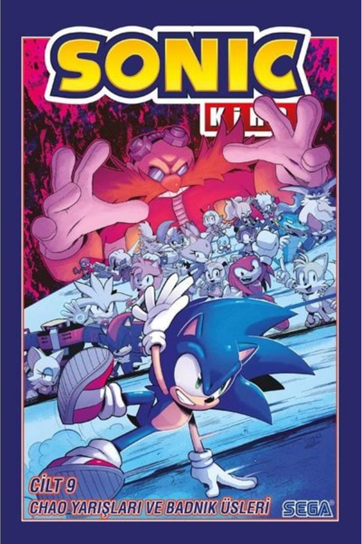 Kirpi Sonic Cilt 9 - Chao Yarışları ve Badnik Üsleri