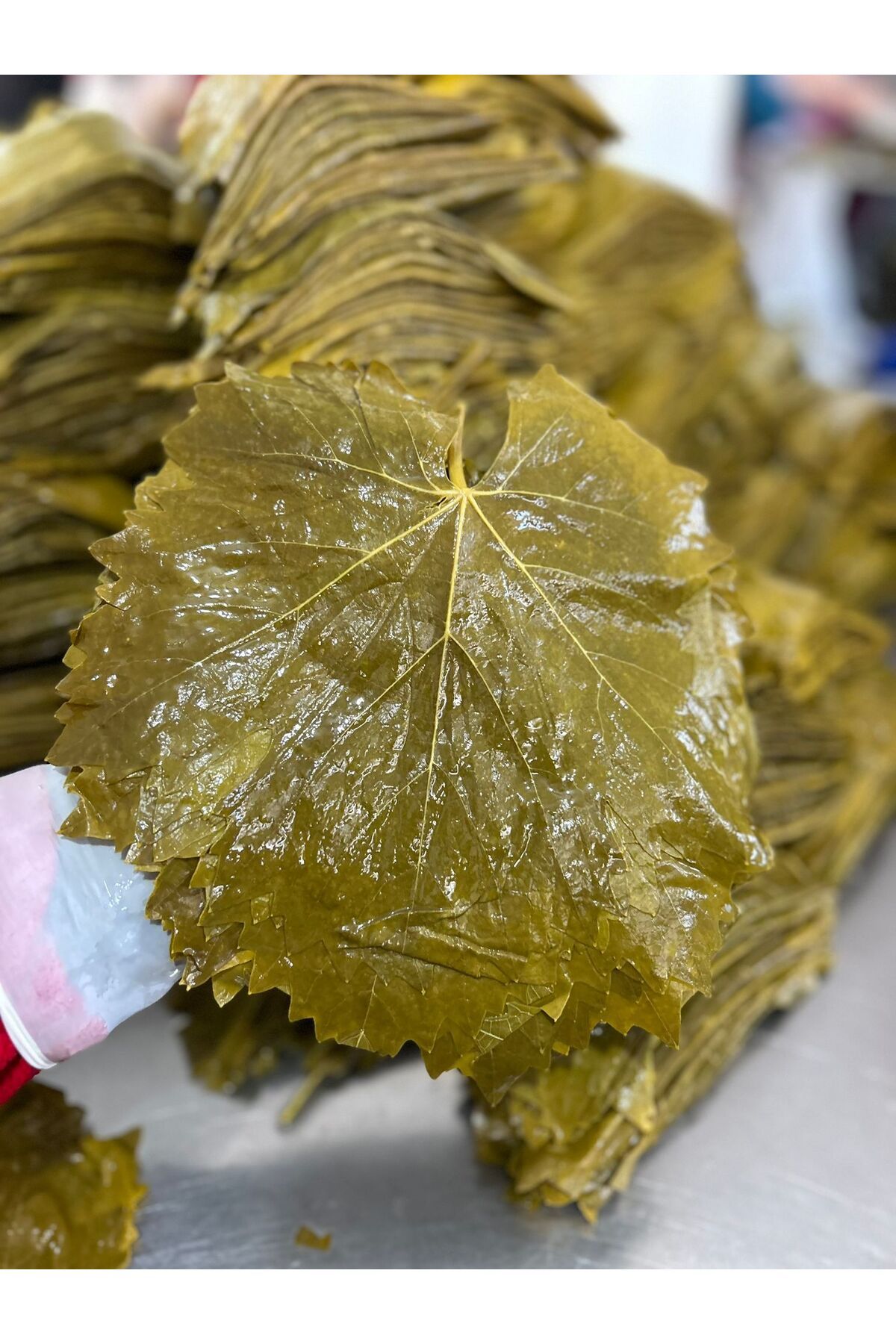 Tokat Erbaa Damarsız Ince Asma Yaprağı 2 Kg Salamura Yaprak Taze Mahsül